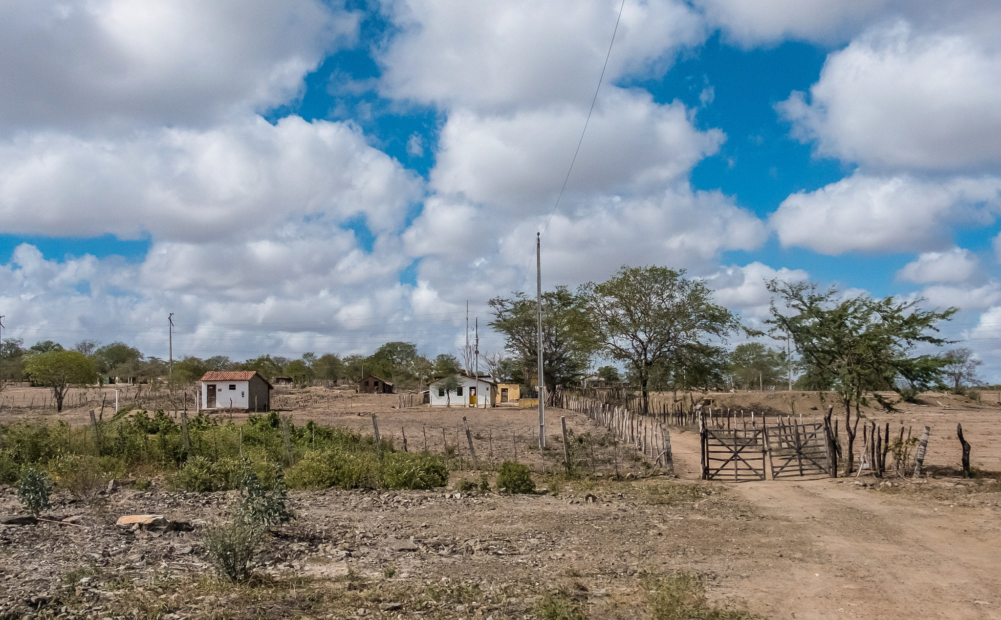 Fujifilm X-T2 sample photo. Road side photography