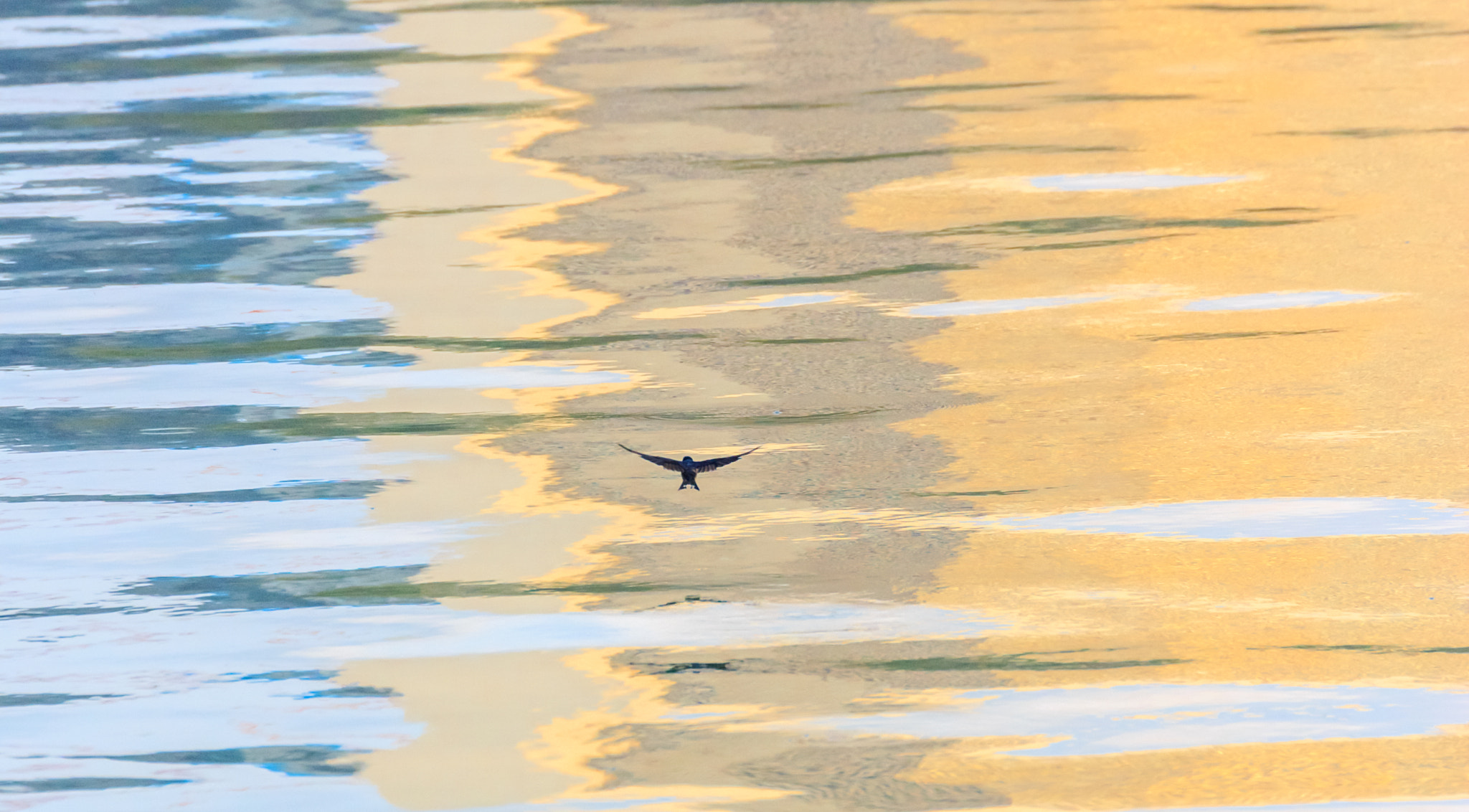Canon EF 70-300mm F4-5.6L IS USM sample photo. Colour photography