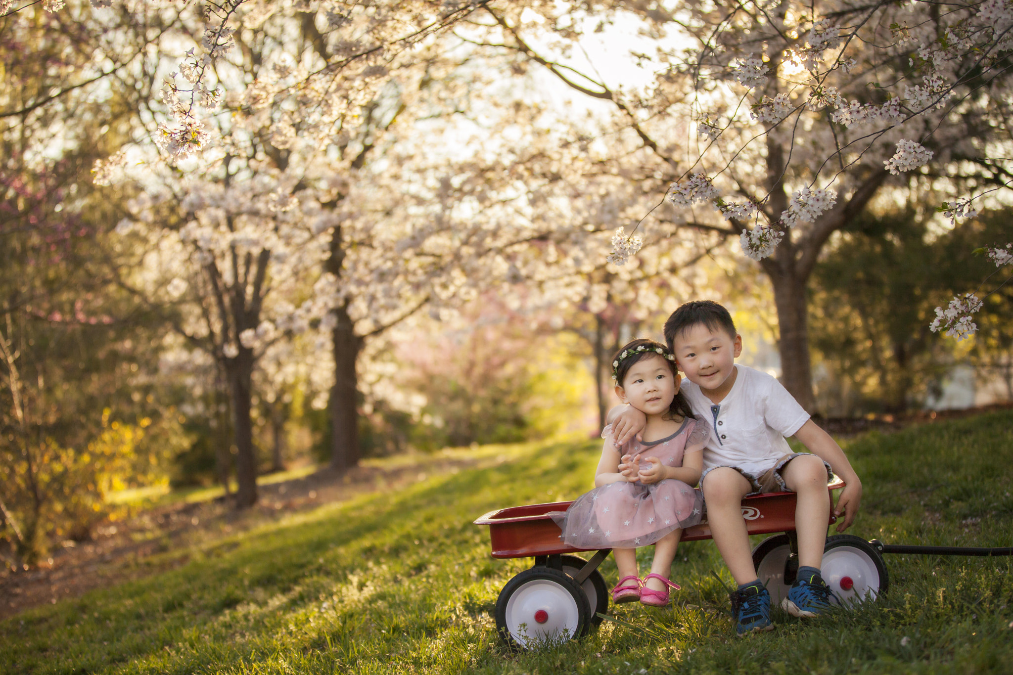 Canon EF 70-200mm F2.8L IS II USM sample photo. Eason&bella photography
