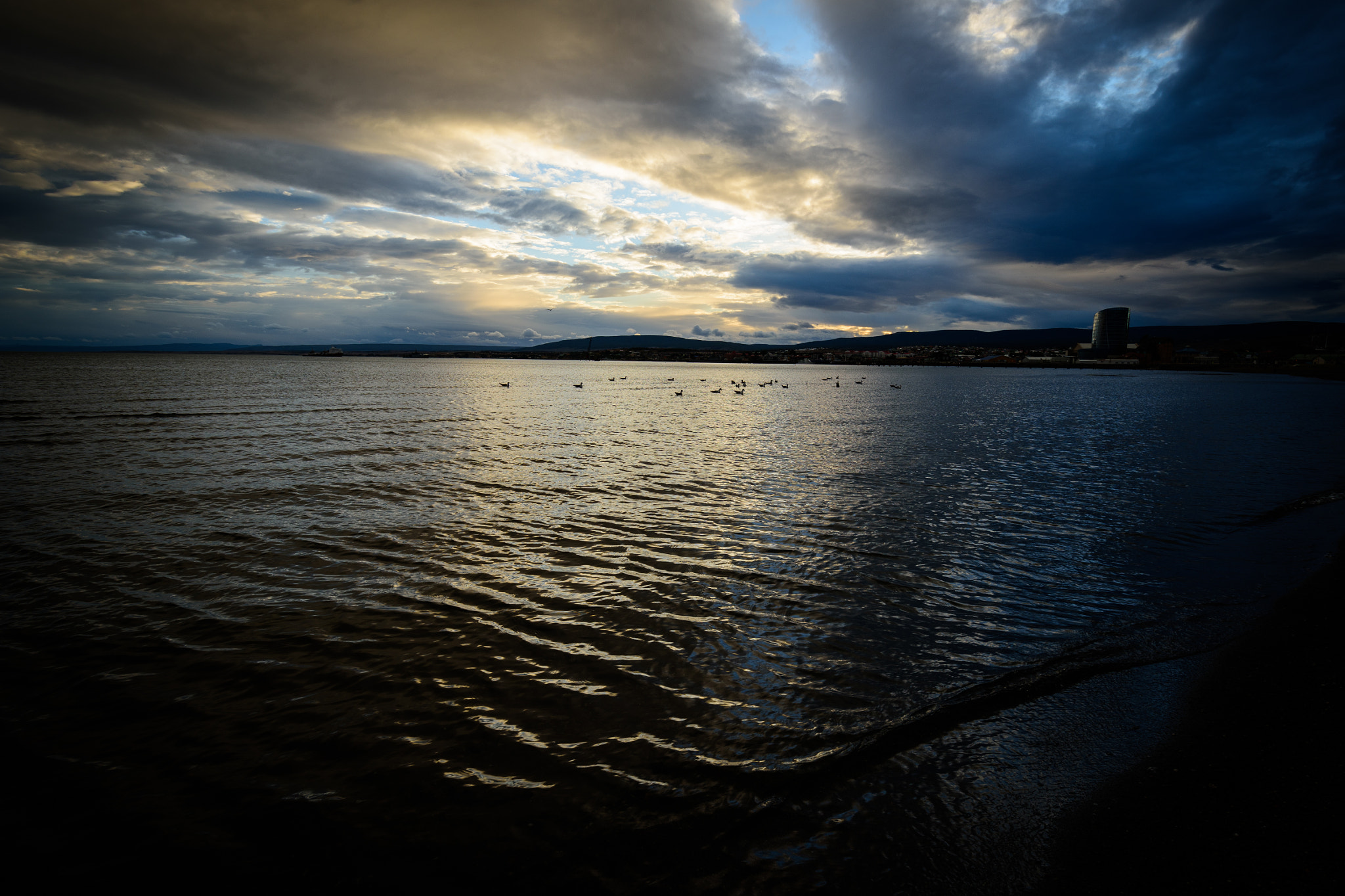 Nikon D810 sample photo. Primera foto photography