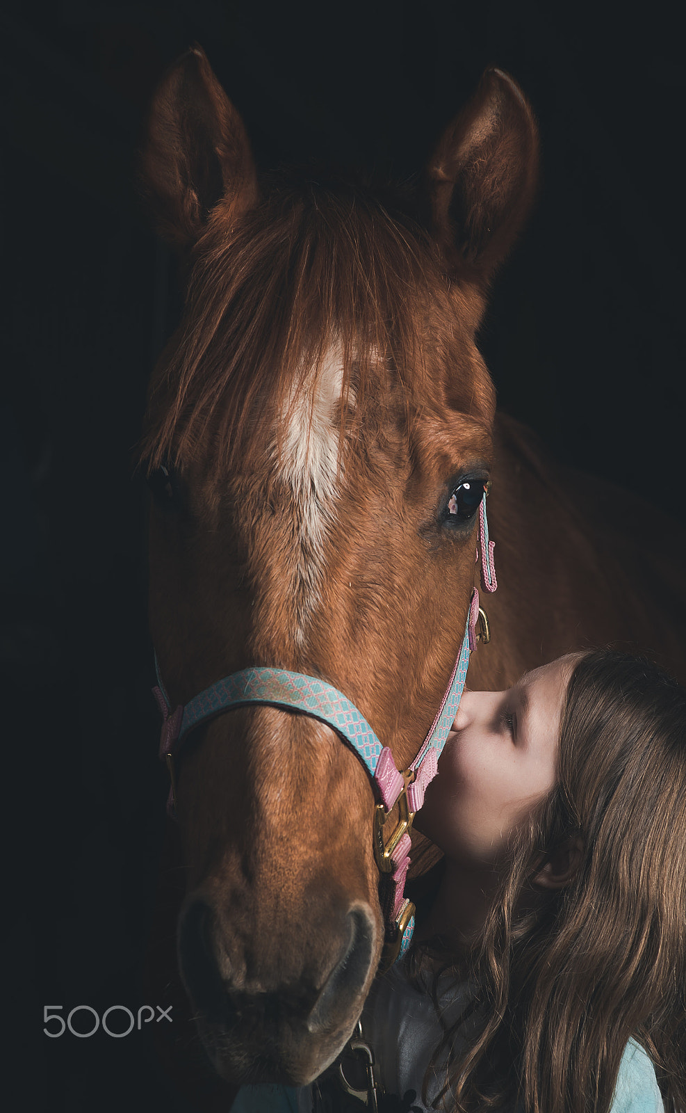 Nikon D750 + Sigma 85mm F1.4 EX DG HSM sample photo. Sweet moment photography