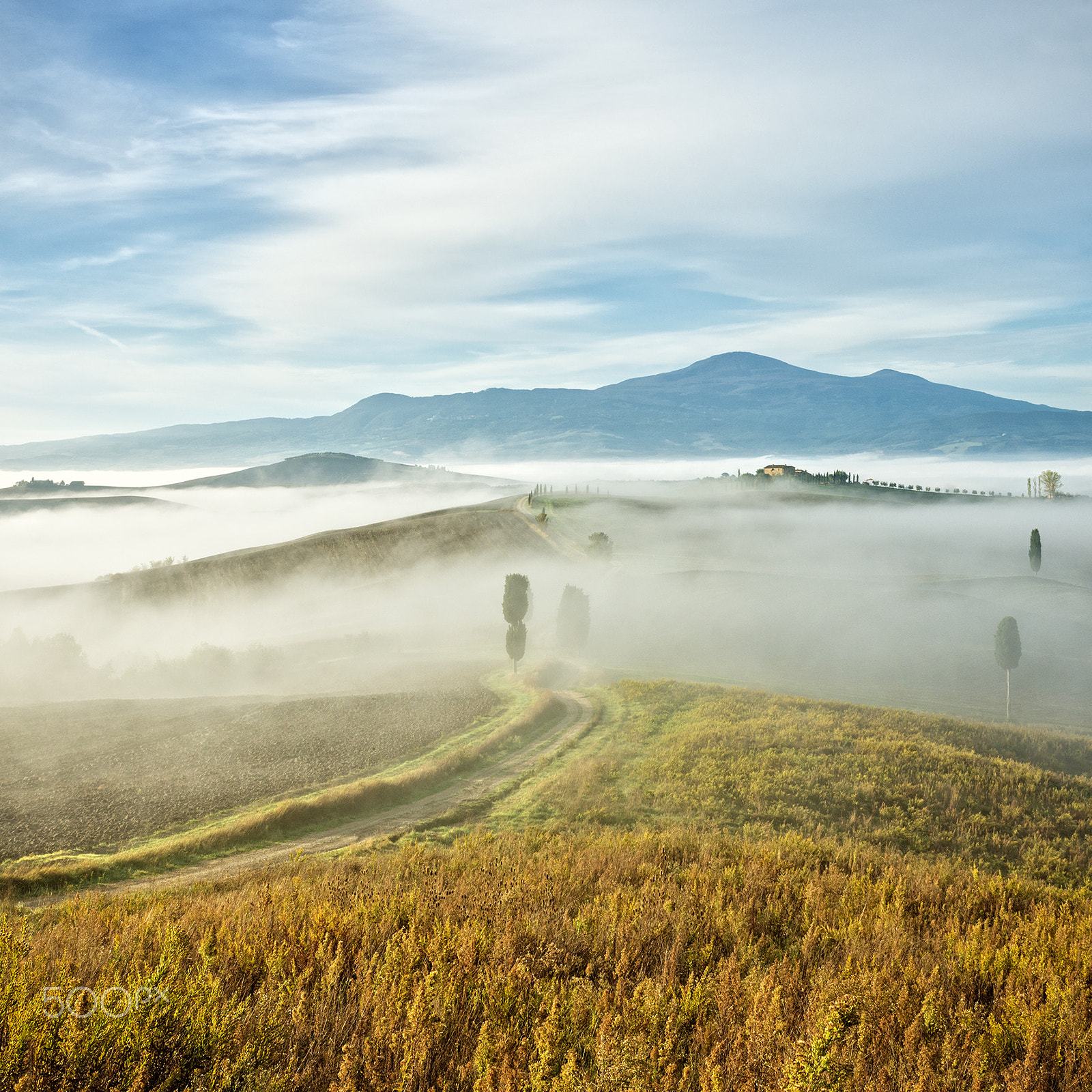 Nikon D800 sample photo. Foogy landscape near pienza, tuscany, italy photography