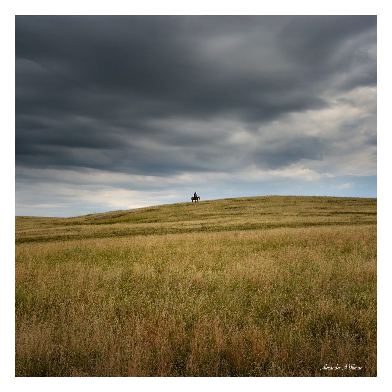 Nikon AF-S Nikkor 16-35mm F4G ED VR sample photo. Great dzungaria (23) - shepherd photography