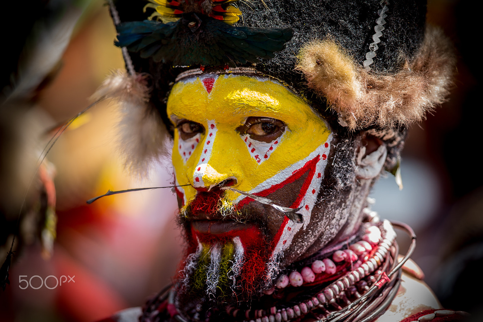 Canon EF 300mm F2.8L IS II USM sample photo. A huli wigman photography