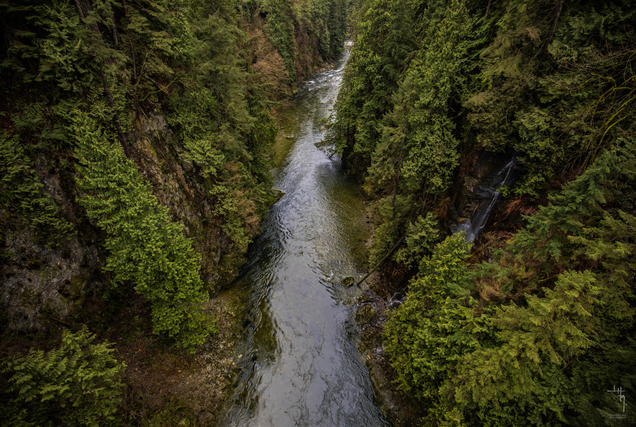 Canon EF 16-35mm F4L IS USM sample photo. Capilano river, north vancouver, bc. photography