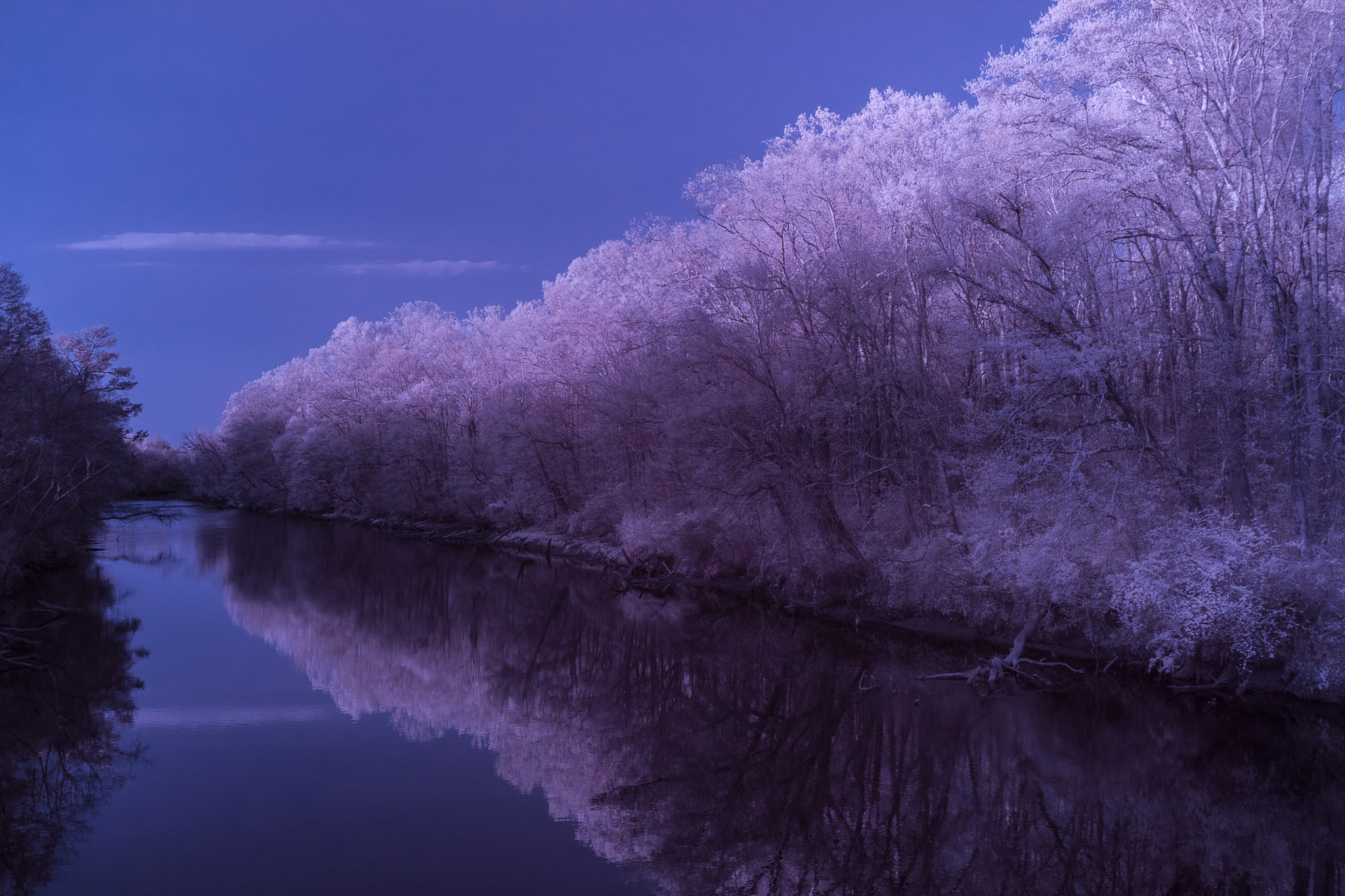 Canon EF-S 17-55mm F2.8 IS USM sample photo. Chattahoochee river photography