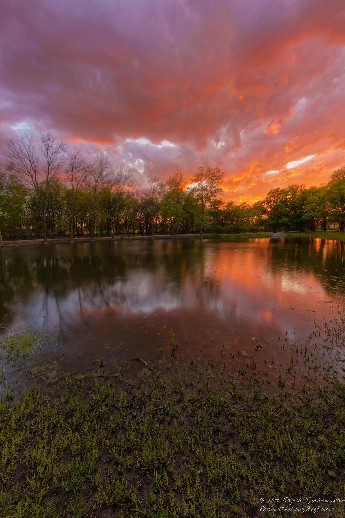 Sony a7R II + 12-24mm F4 DG HSM | Art016 sample photo. Just another sunset photography