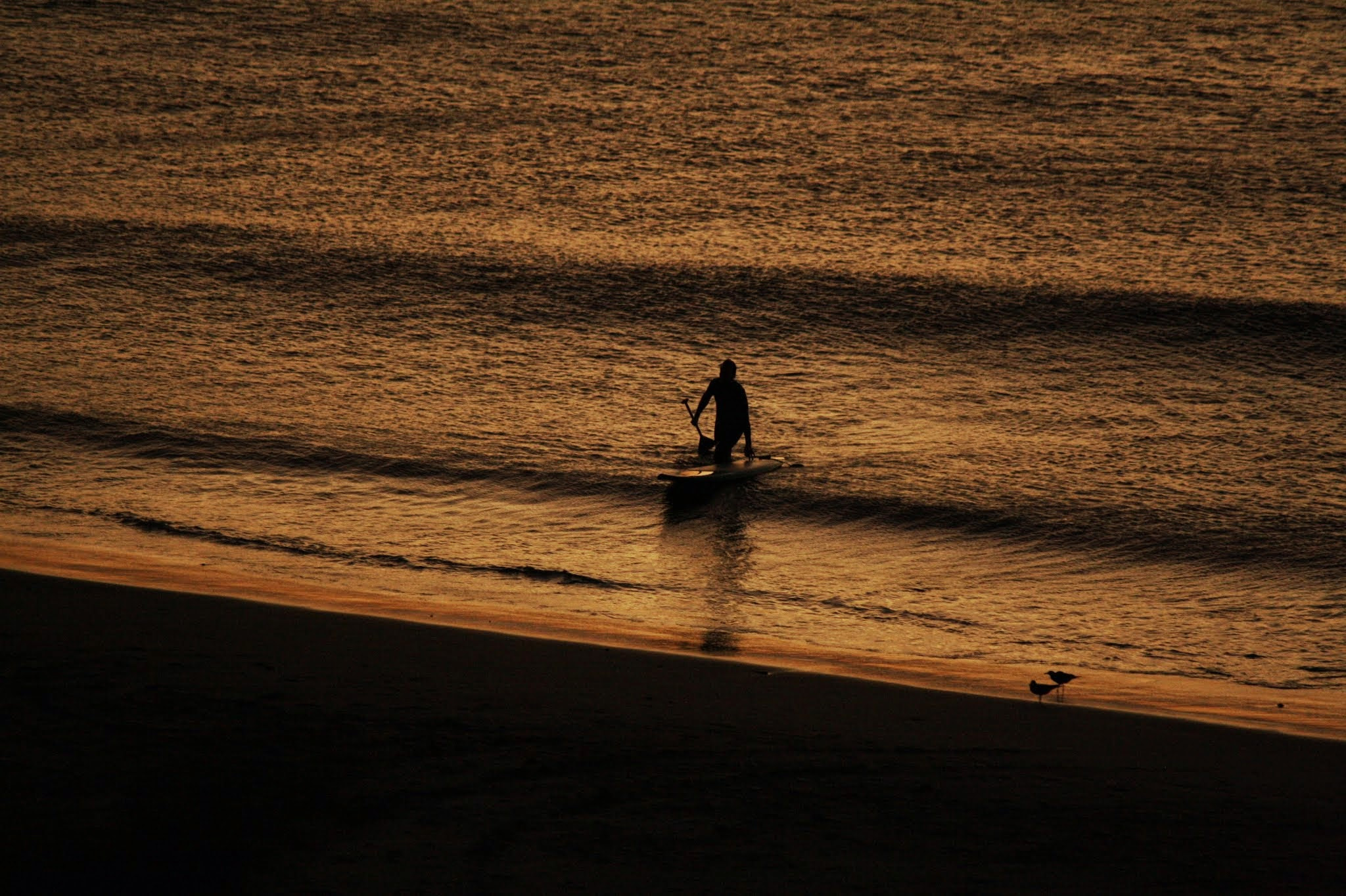 Canon EF-S 55-250mm F4-5.6 IS sample photo. Time to rest photography