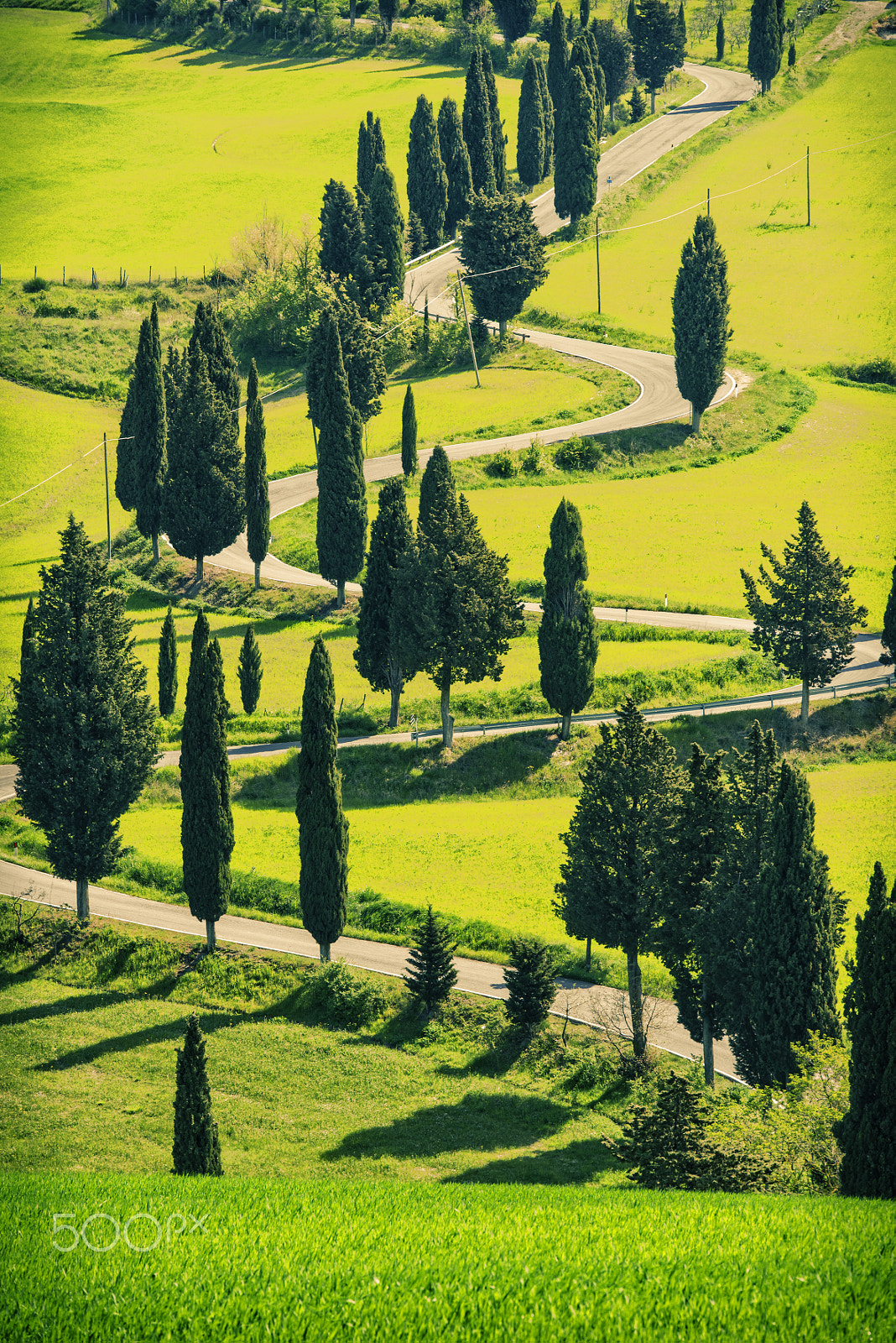 Nikon AF-S Nikkor 70-200mm F2.8G ED VR II sample photo. Serpentine road near monticchiello, tuscany, italy photography