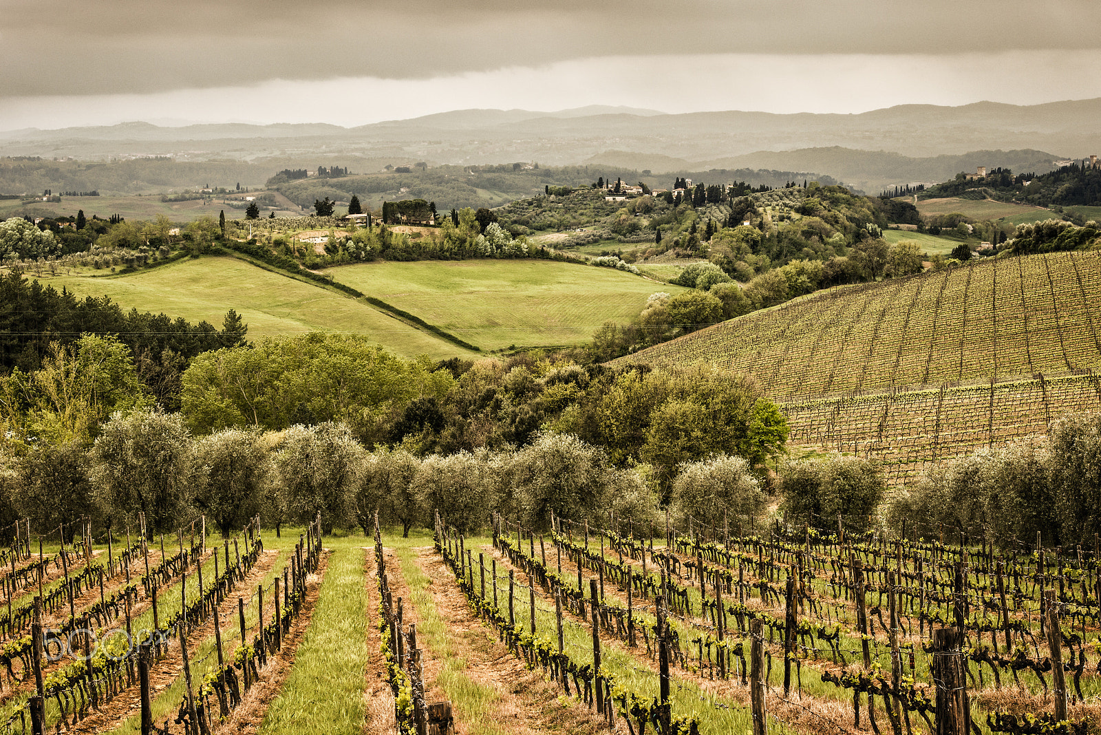 Nikon AF-S Nikkor 70-200mm F2.8G ED VR II sample photo. Tuscany, italy photography