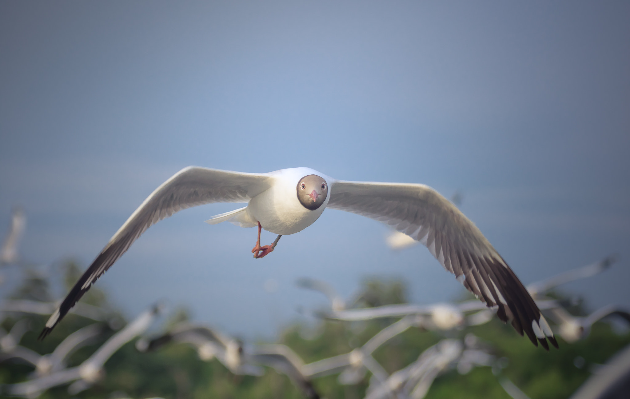 Nikon D7200 sample photo. Kcs_8687-2.jpg photography