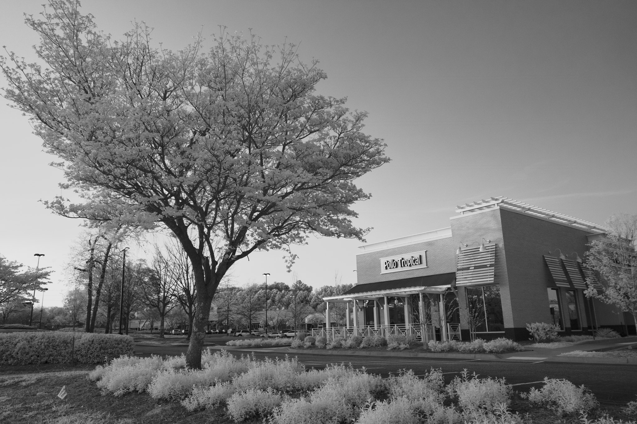 Canon EF-S 17-55mm F2.8 IS USM sample photo. Ir scape photography