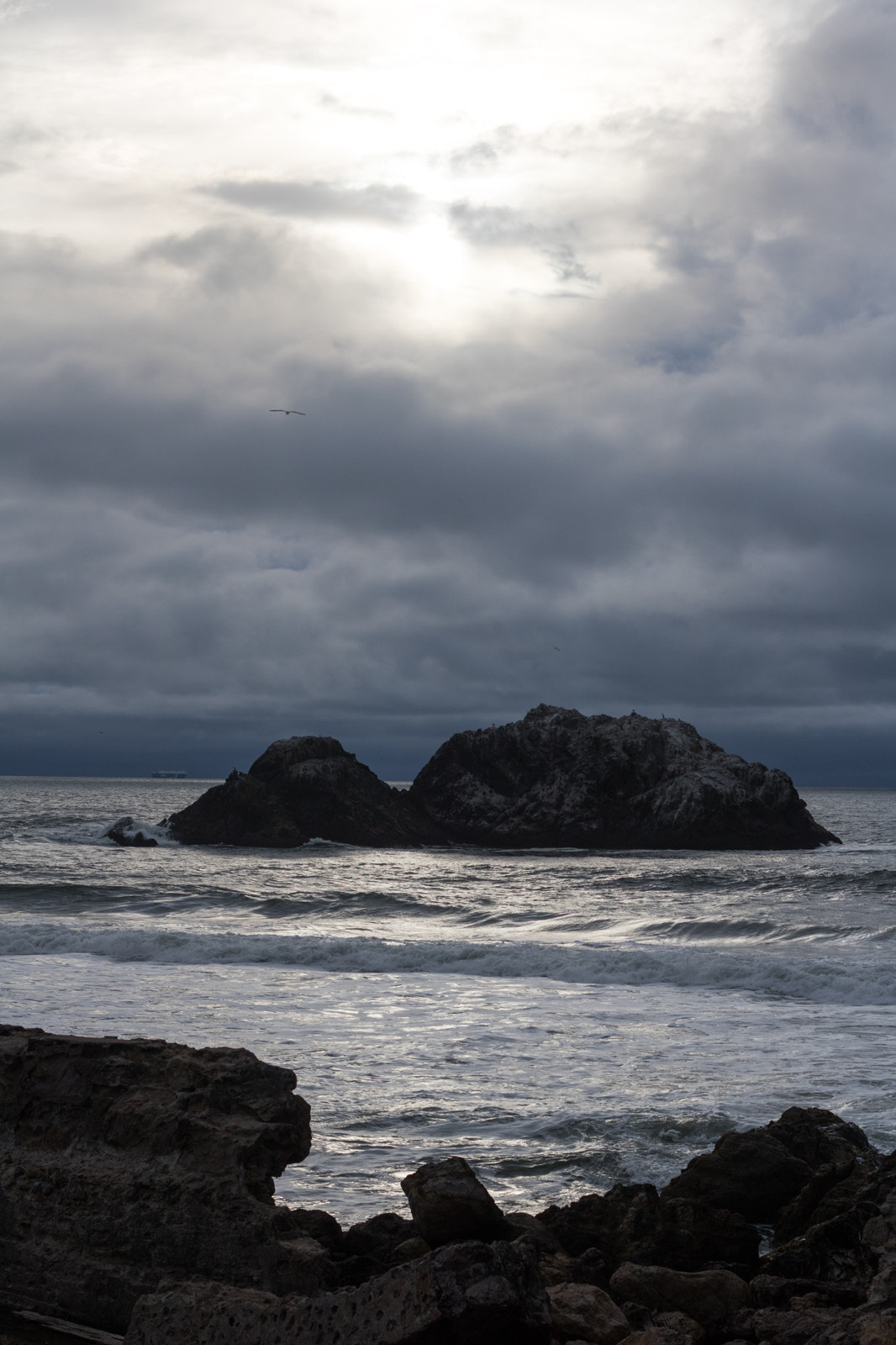 Canon EOS 760D (EOS Rebel T6s / EOS 8000D) sample photo. Pacific photography