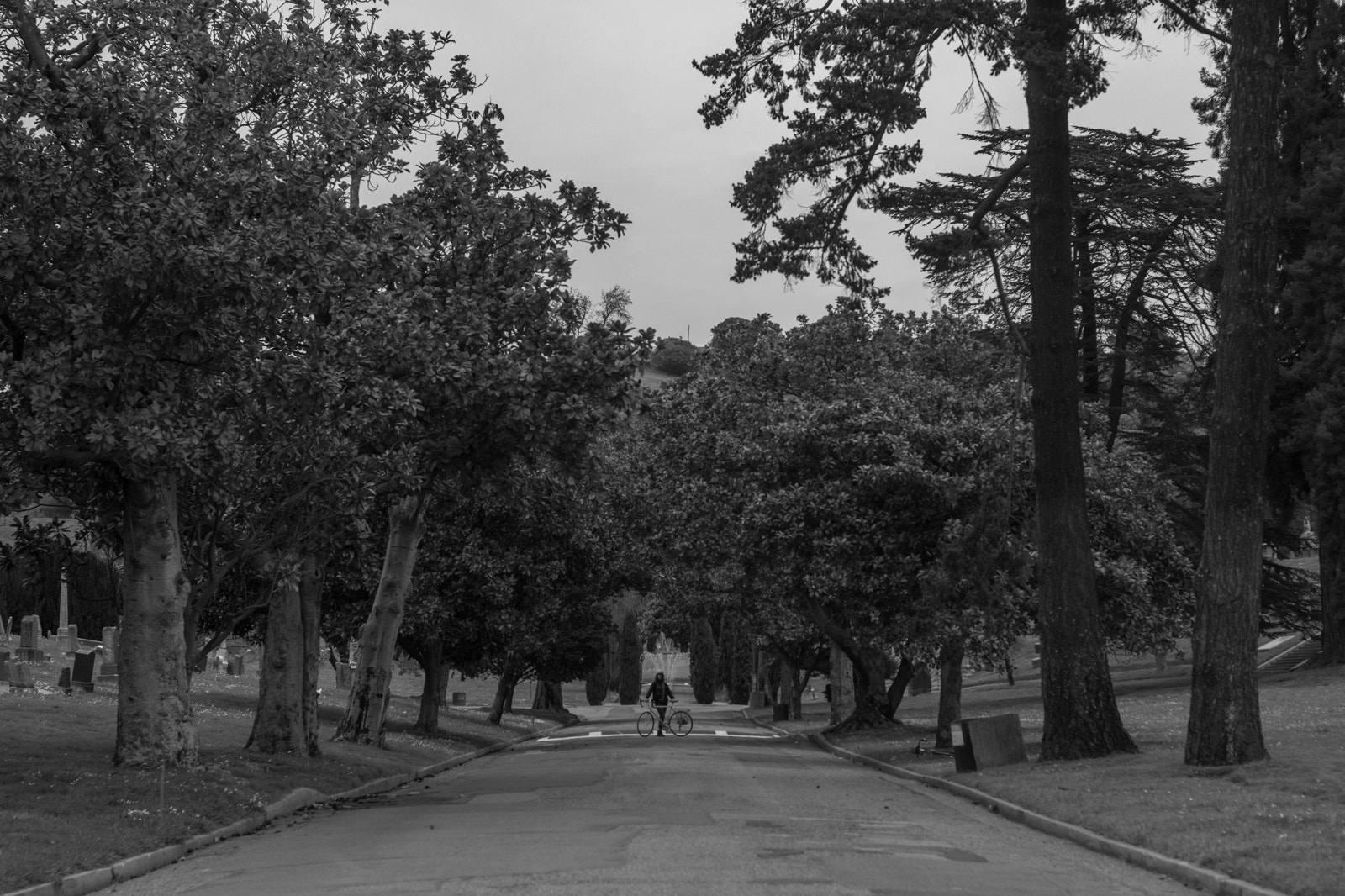 Canon EOS 760D (EOS Rebel T6s / EOS 8000D) sample photo. Katherine photography
