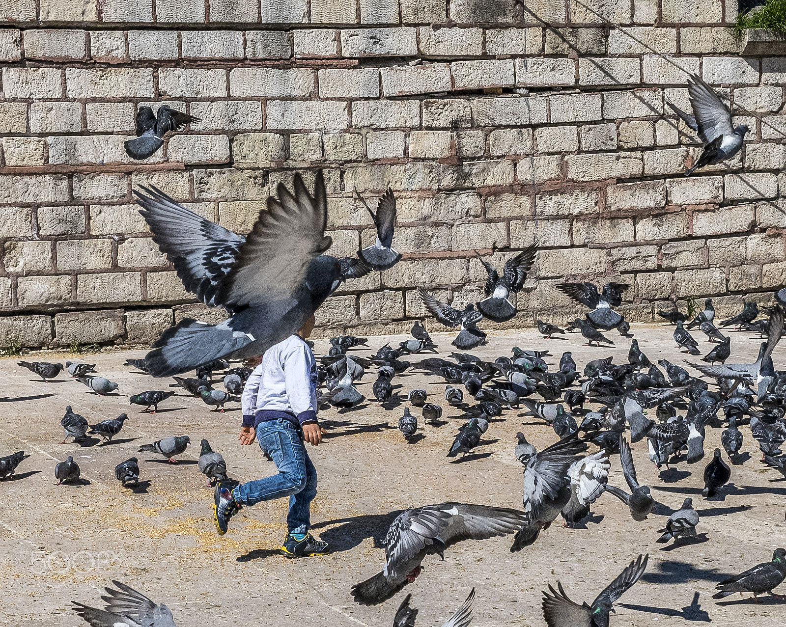 Nikon AF-S Nikkor 35mm F1.4G sample photo. Children and freedom photography