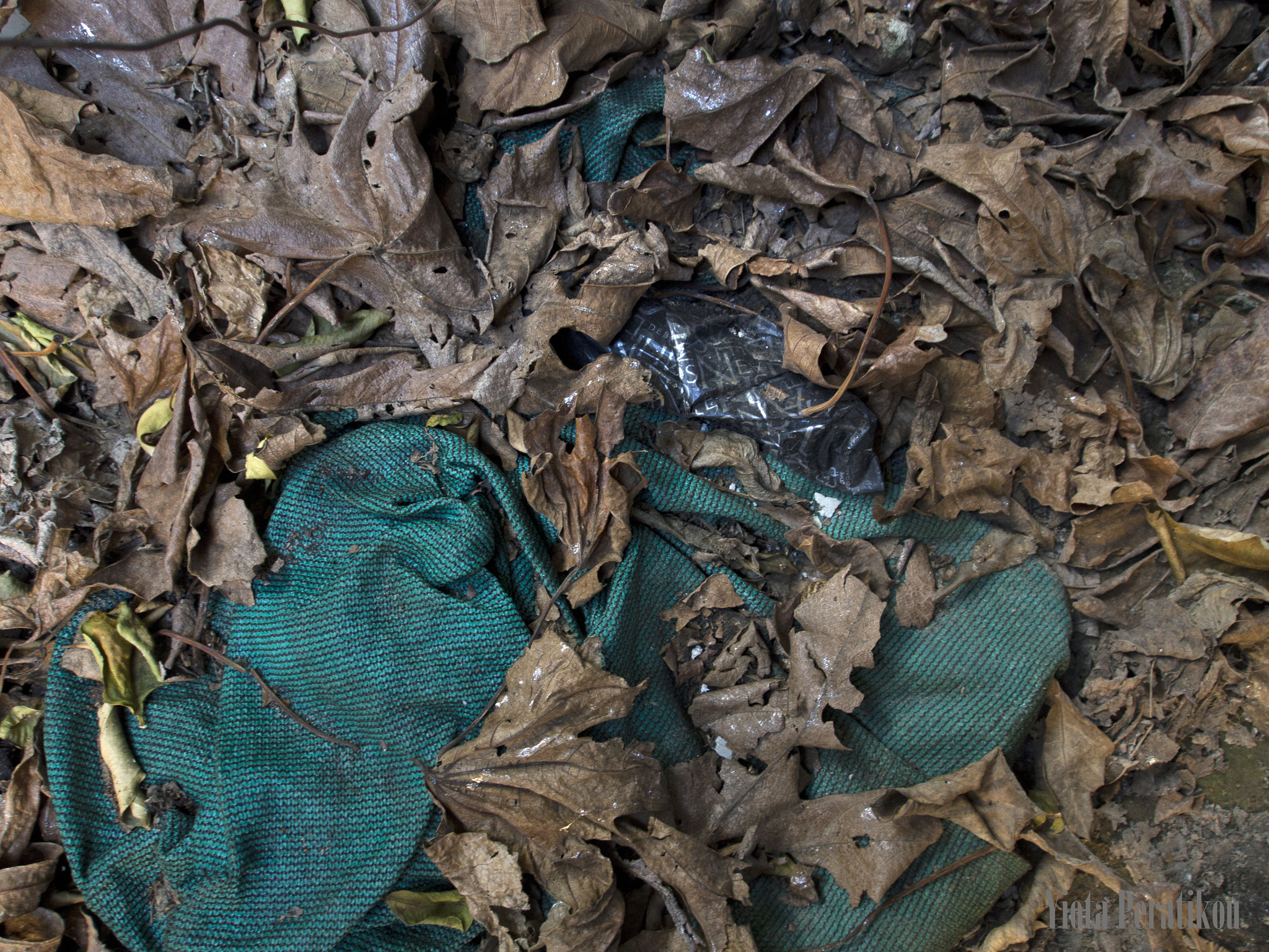 Olympus OM-D E-M5 sample photo. Decay photography
