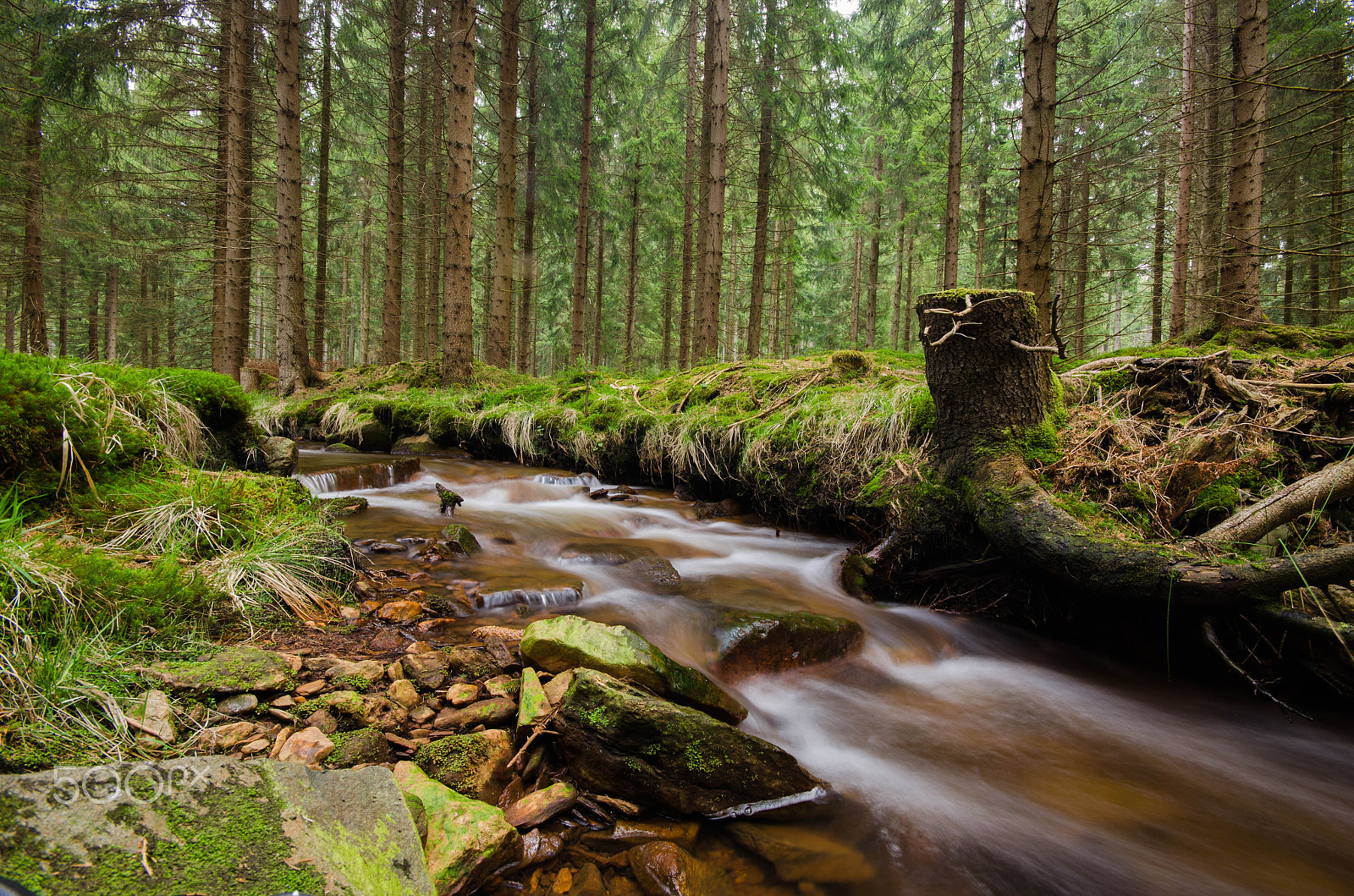 Nikon D5100 + Sigma 10-20mm F4-5.6 EX DC HSM sample photo. Bach photography