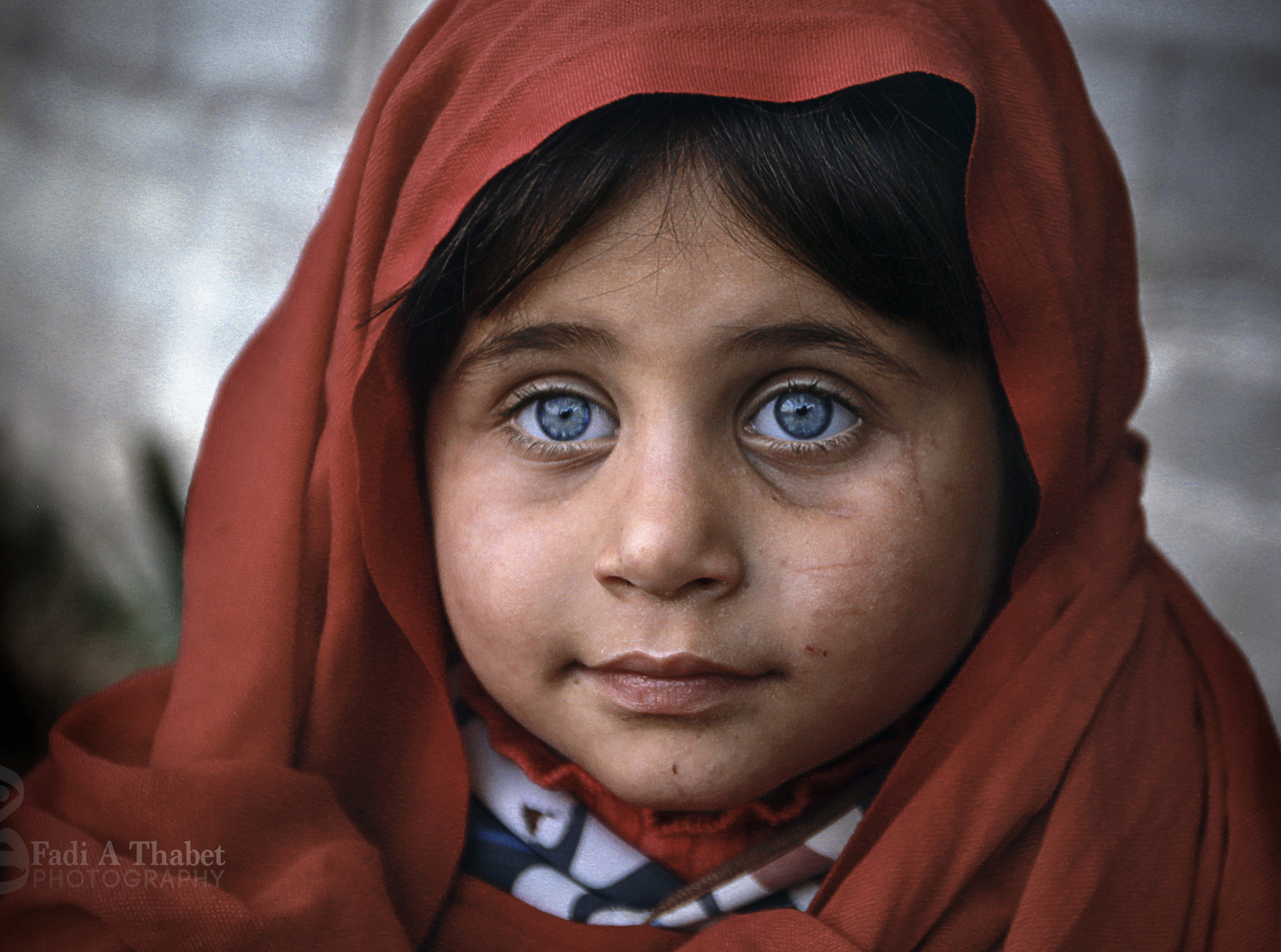 Canon EF 16-35mm F2.8L II USM sample photo. Gaza photography