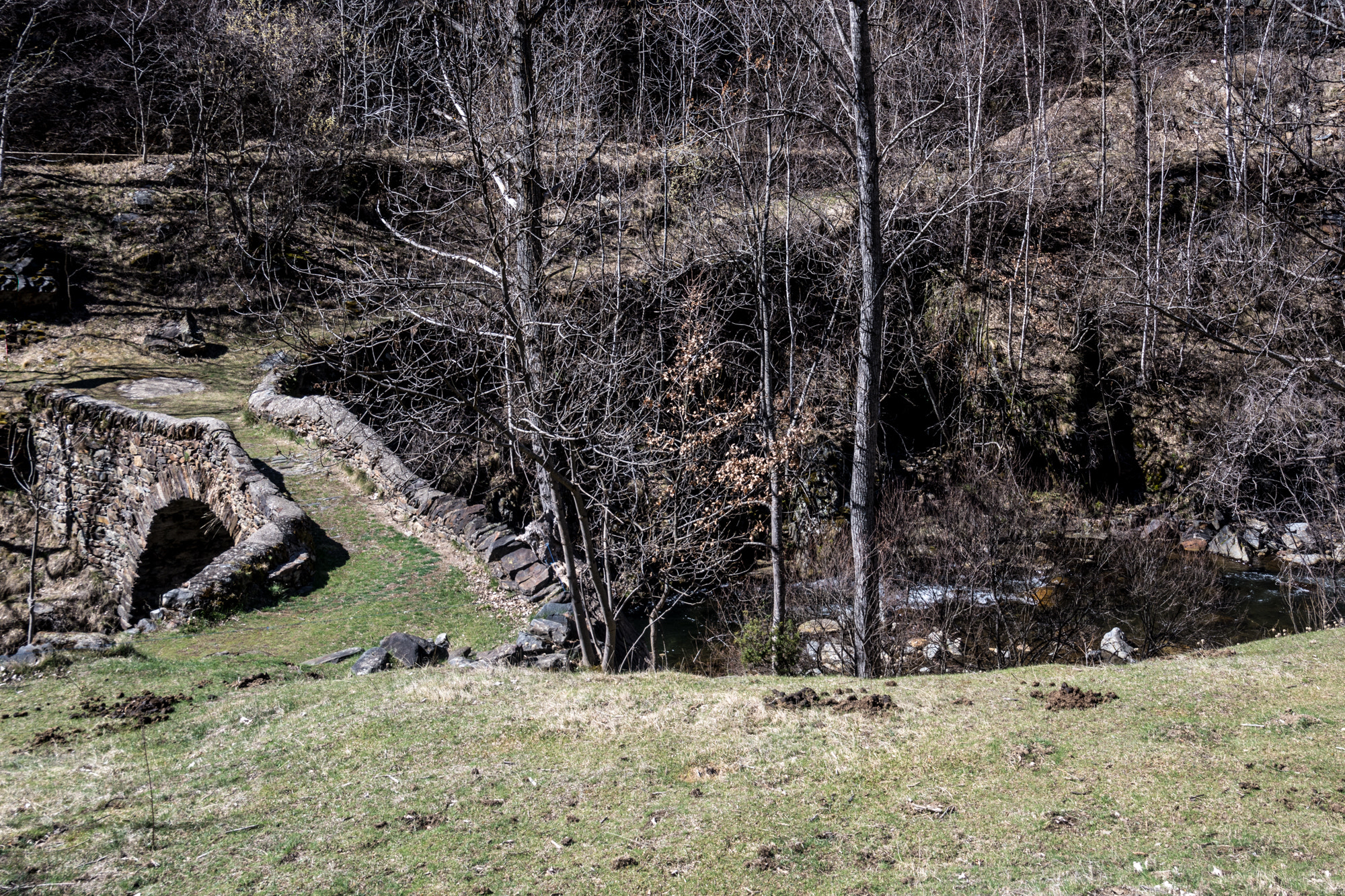 Nikon D7100 sample photo. The medieval bridge of borito | vall de cardós photography