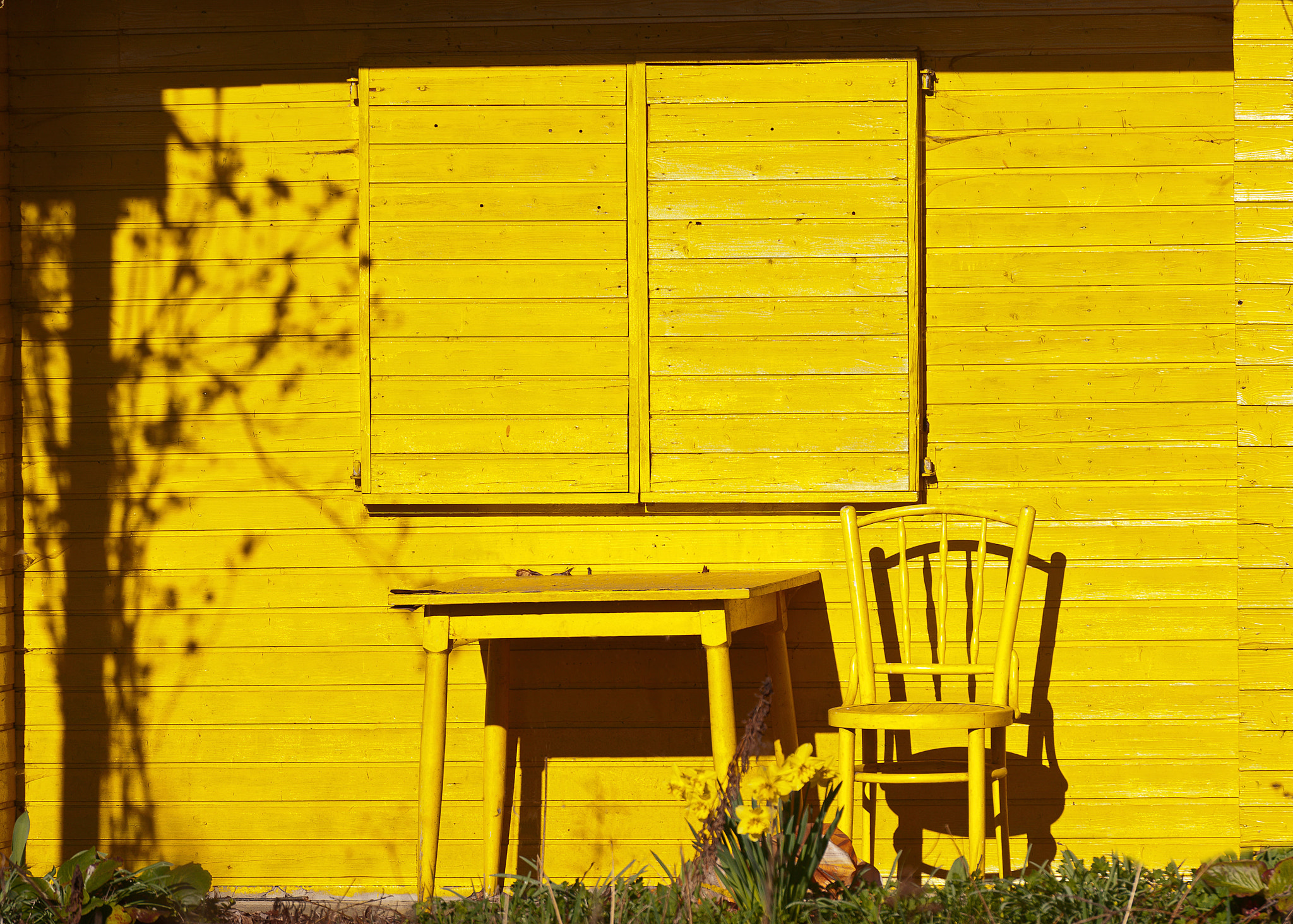 Nikon D700 sample photo. Furniture of camouflage photography