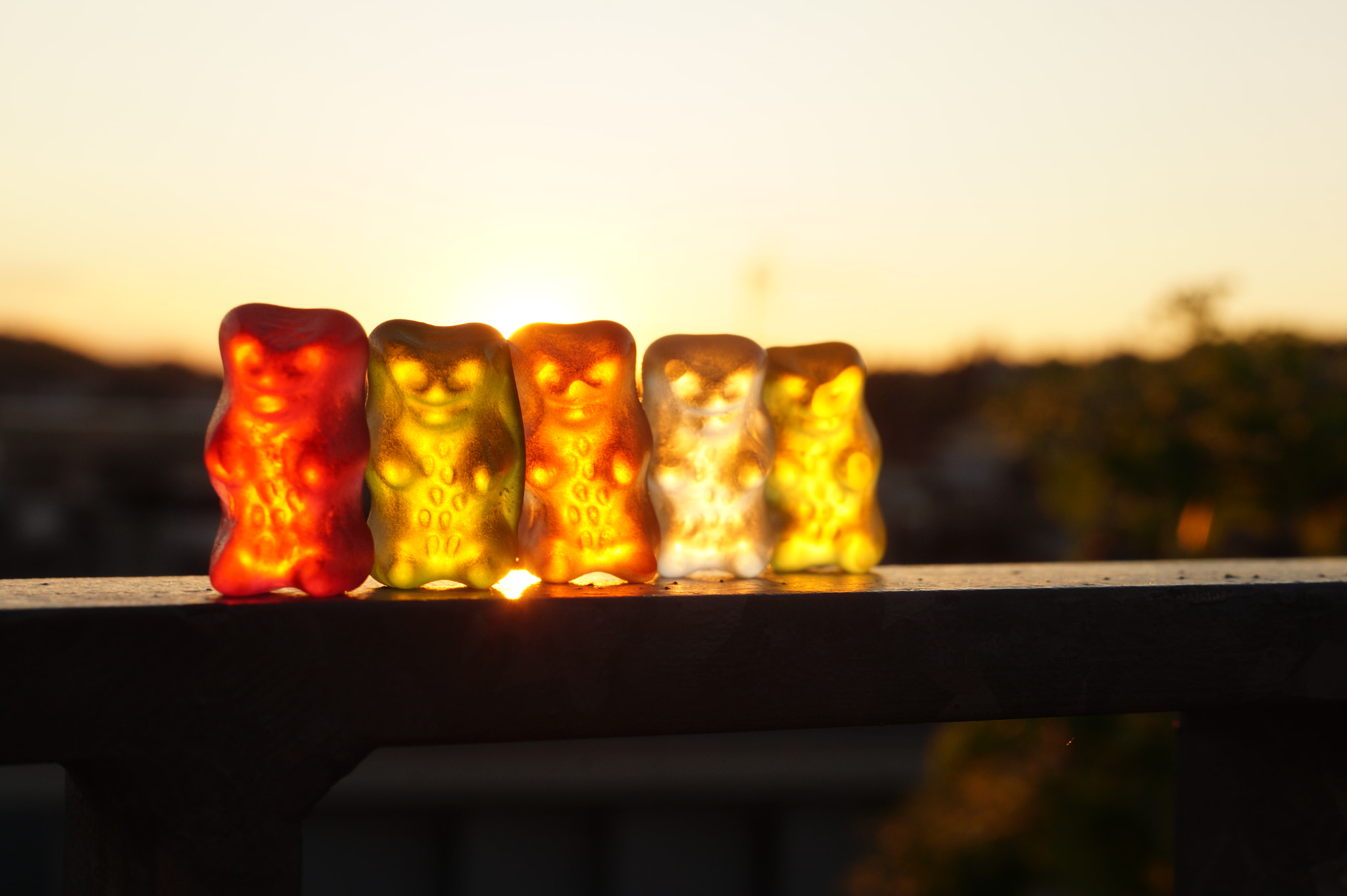 Sony SLT-A58 + Sony DT 35mm F1.8 SAM sample photo. Gummi bärchen on tour photography