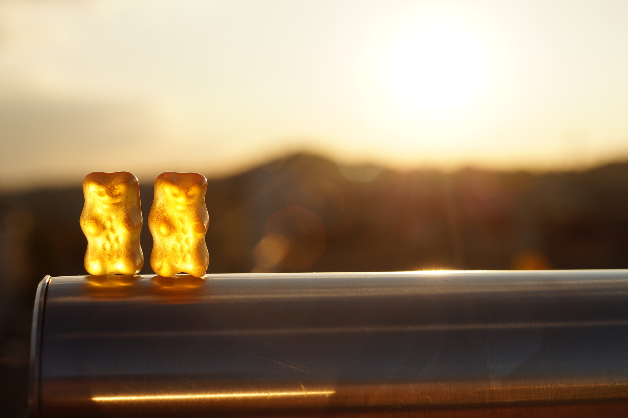 Sony DT 35mm F1.8 SAM sample photo. Gummi bärchen on tour photography