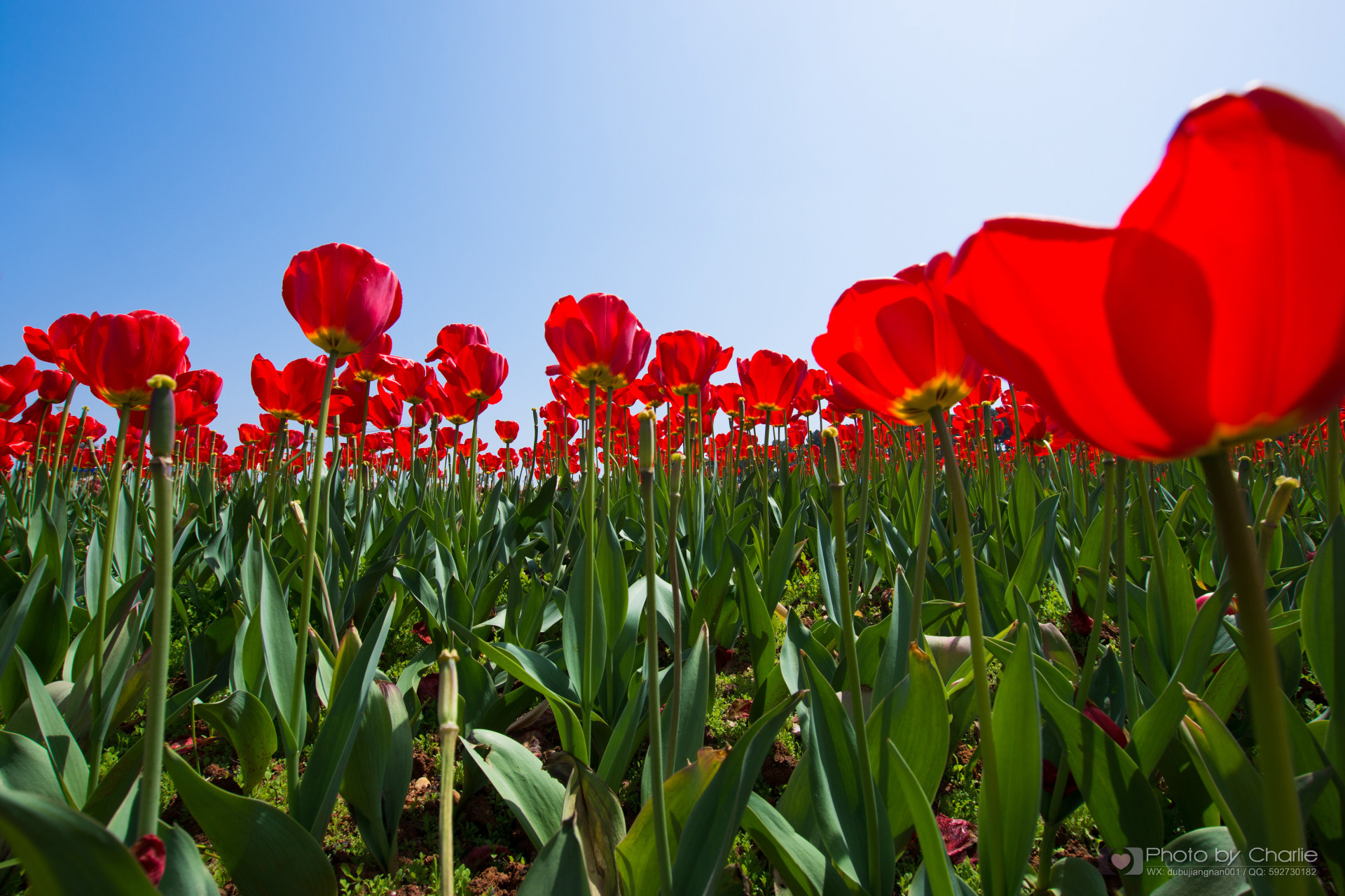 Nikon D7200 + Sigma 10-20mm F3.5 EX DC HSM sample photo. Dsc photography