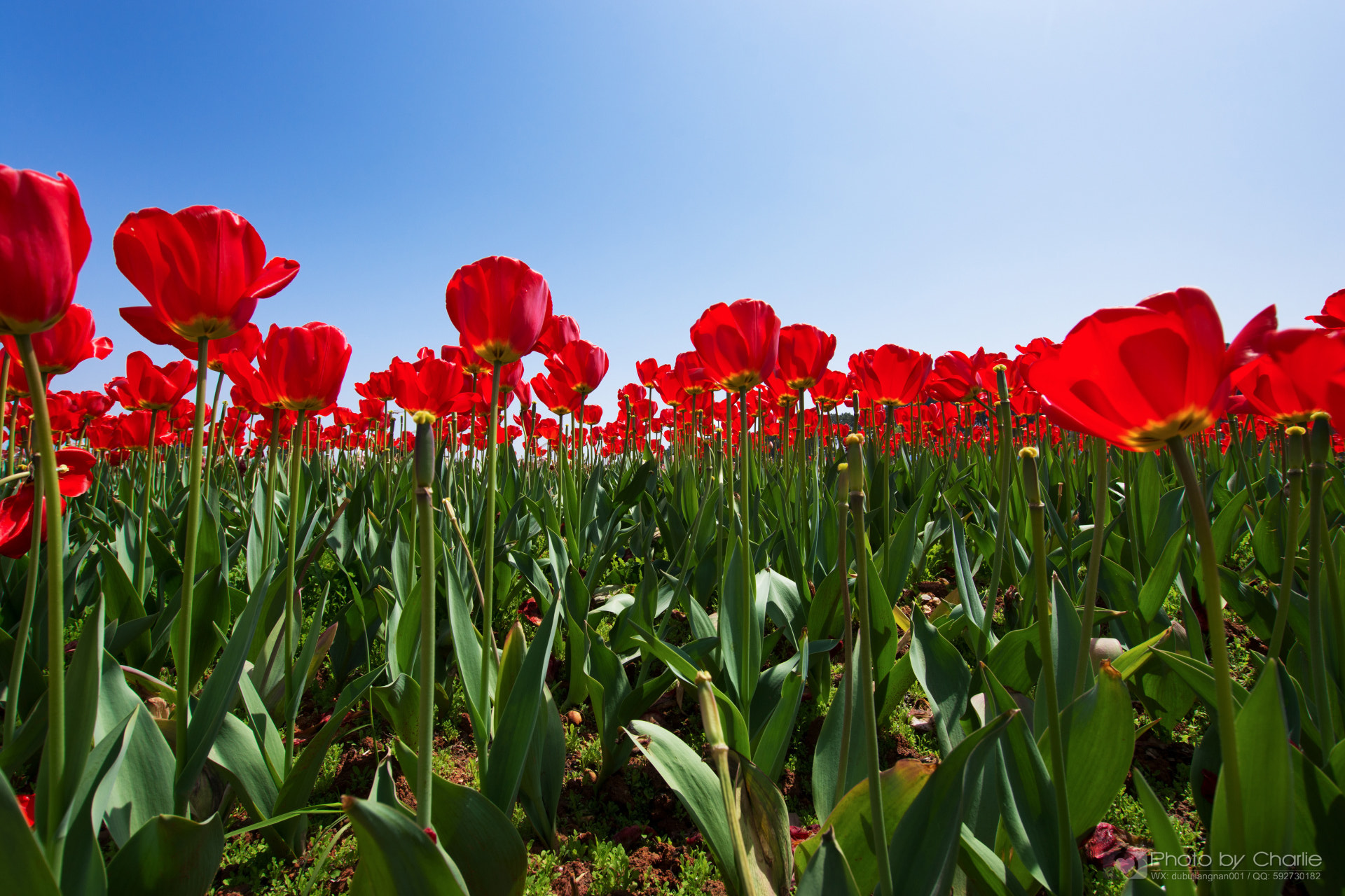 Nikon D7200 + Sigma 10-20mm F3.5 EX DC HSM sample photo. Dsc photography