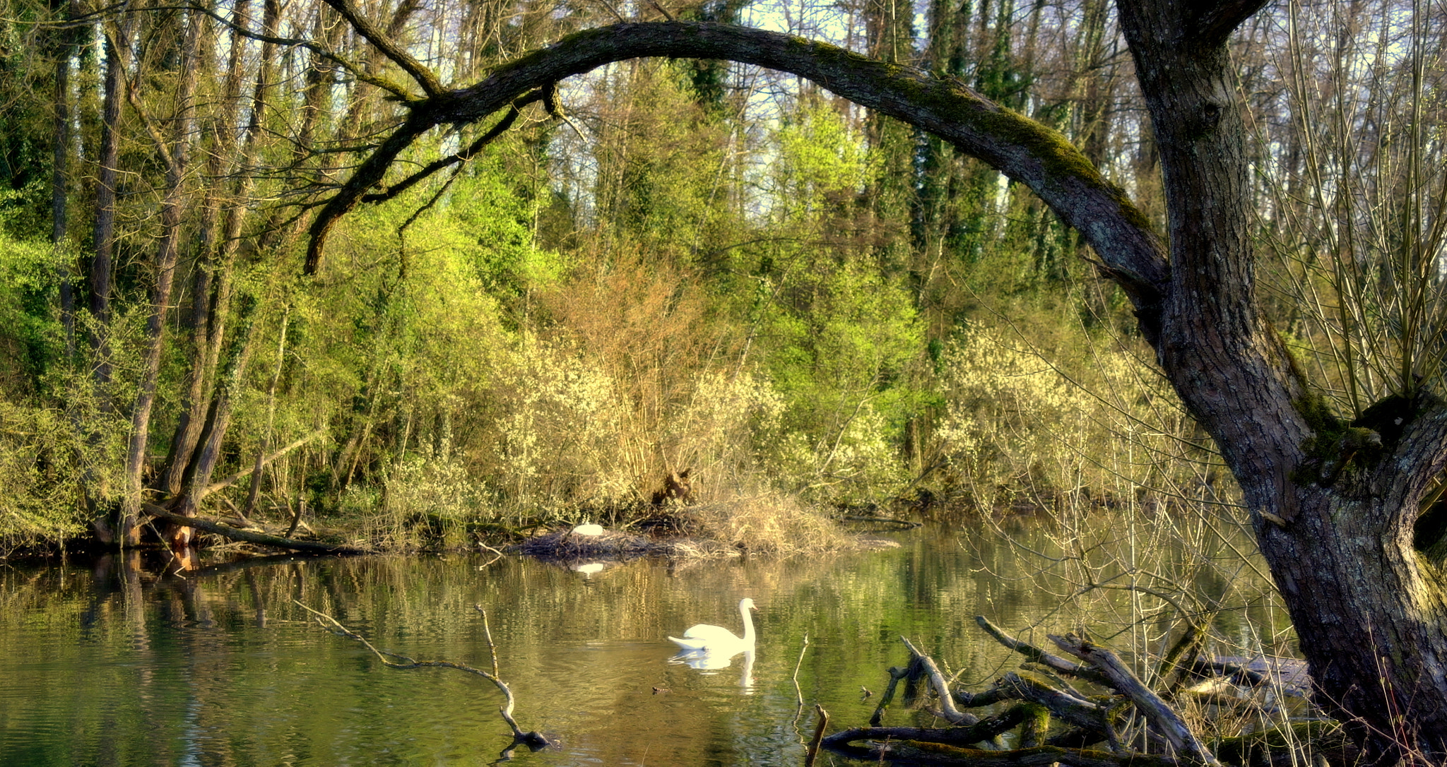 Samsung NX10 sample photo. "unter dem frÜhlingsbogen" photography