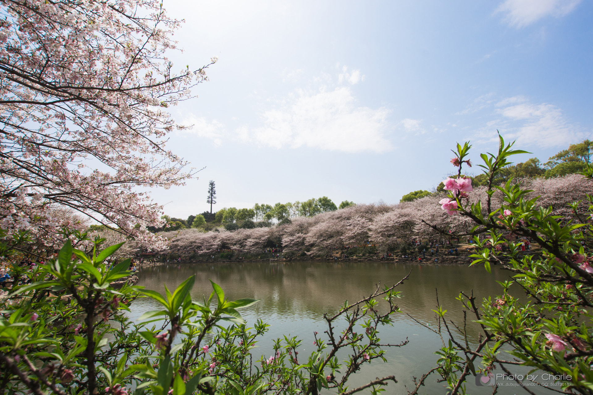 Nikon D7200 + Sigma 10-20mm F3.5 EX DC HSM sample photo. Dsc photography