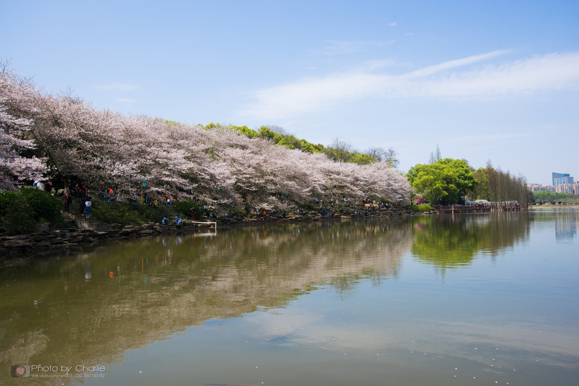 Nikon D7200 + Sigma 10-20mm F3.5 EX DC HSM sample photo. Dsc photography