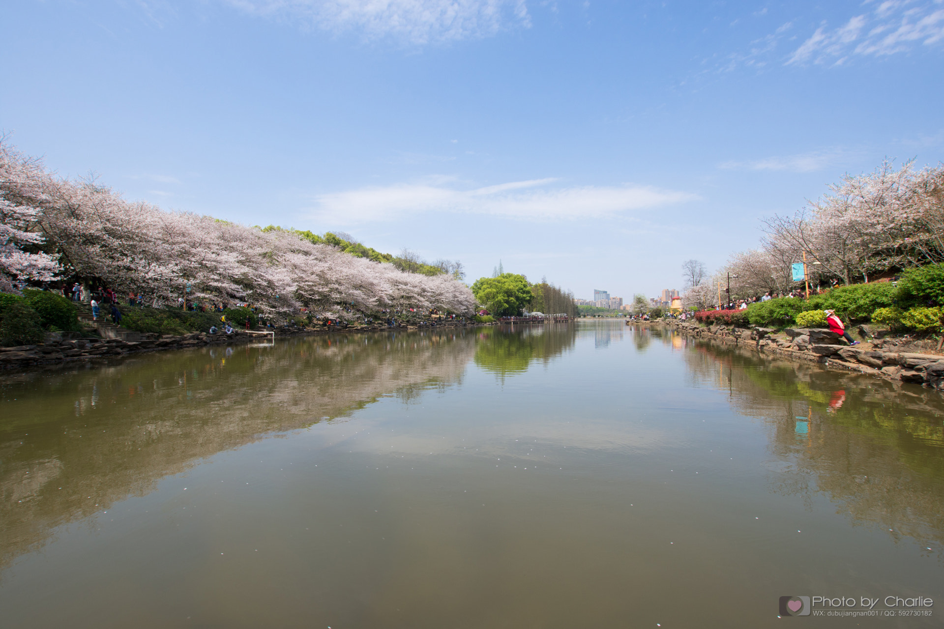 Nikon D7200 + Sigma 10-20mm F3.5 EX DC HSM sample photo. Dsc photography