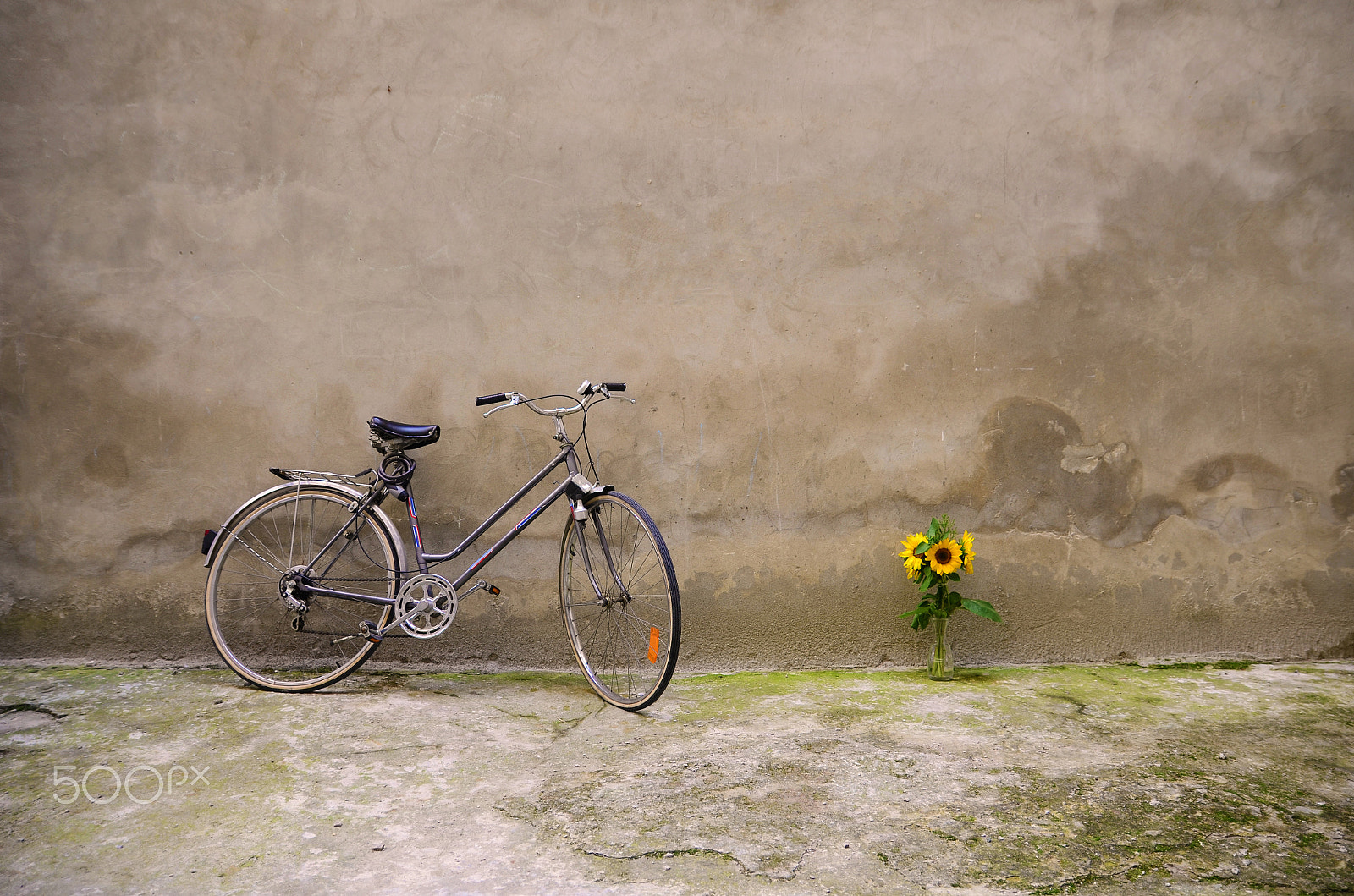 Tamron SP AF 17-35mm F2.8-4 Di LD Aspherical (IF) sample photo. Bicycle and sunflowers photography