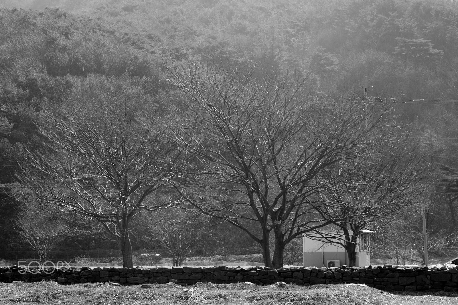 Canon EOS 100D (EOS Rebel SL1 / EOS Kiss X7) sample photo. Memory on my mind photography