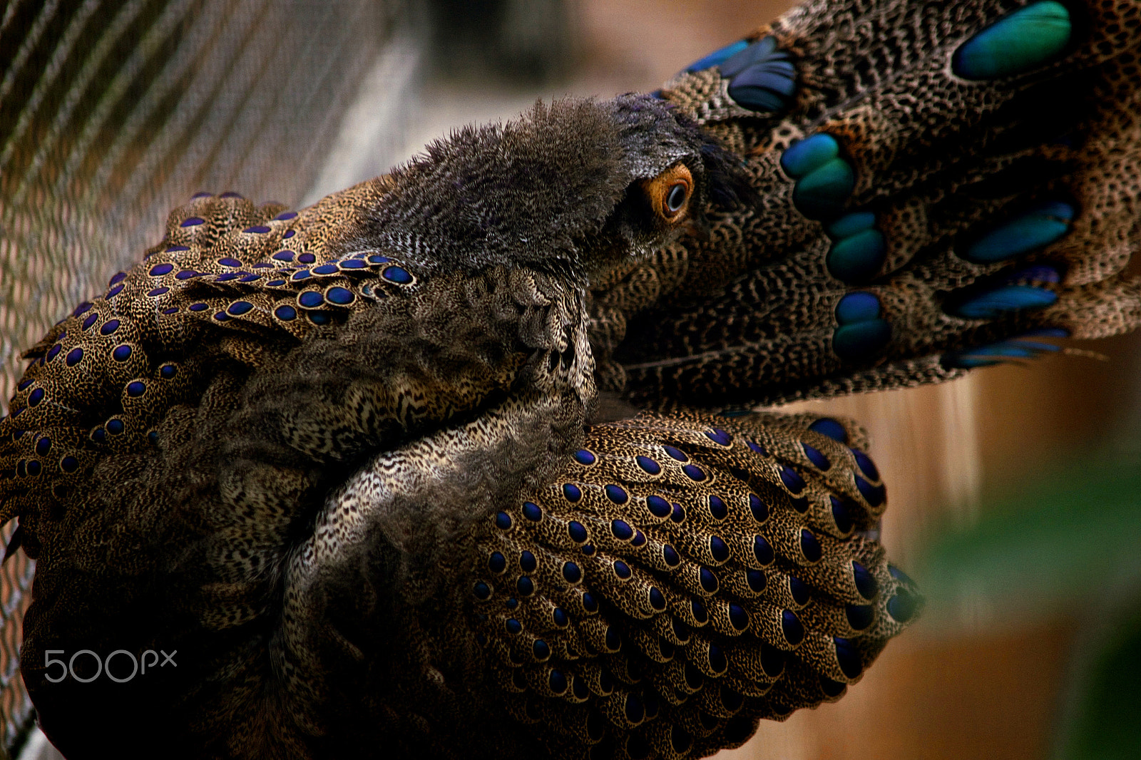 Nikon D810 sample photo. Am i still beautiful photography