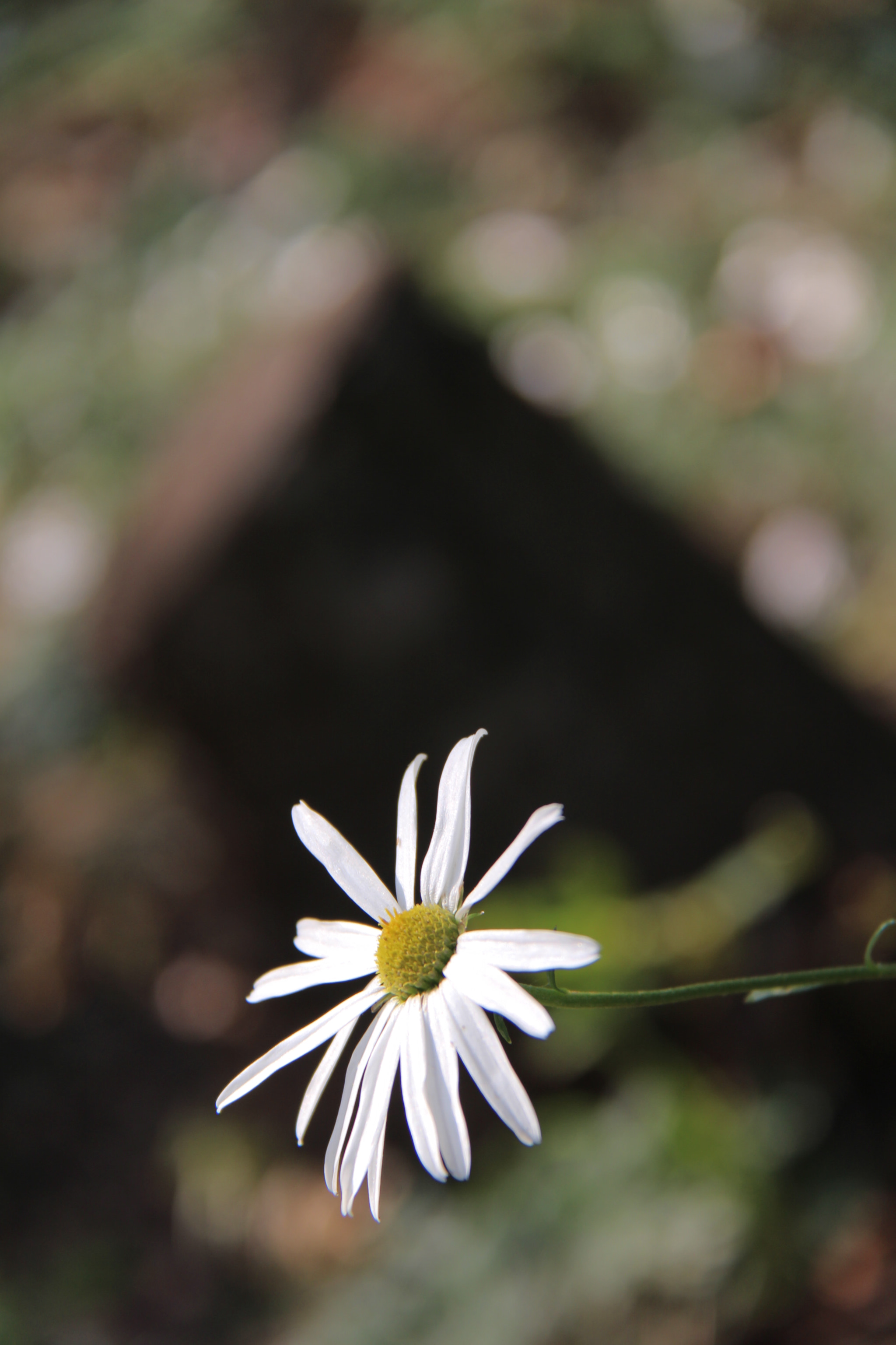Canon EF-S 18-200mm F3.5-5.6 IS sample photo. 화담숲에서`````추억^^ photography