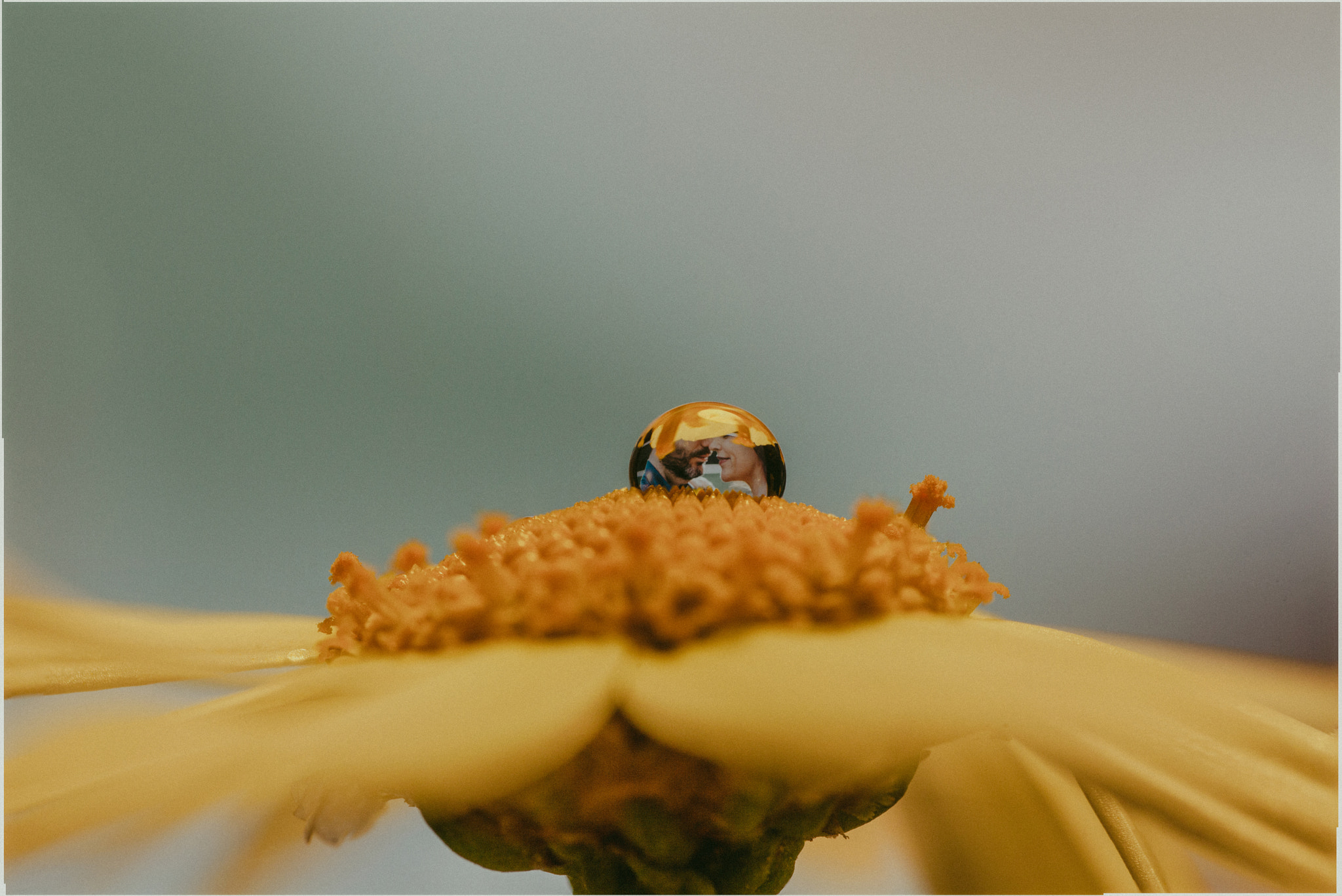 Canon EF 100mm F2.8L Macro IS USM sample photo. Macro love. http://fotosur.es/ photography