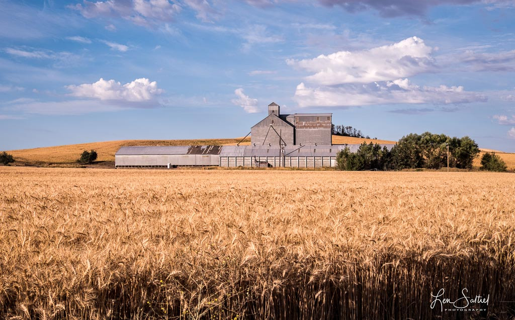 Fujifilm X-Pro2 sample photo. Harvest time photography