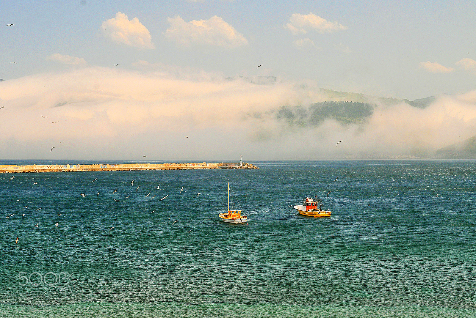 Nikon D5000 sample photo. ** photography