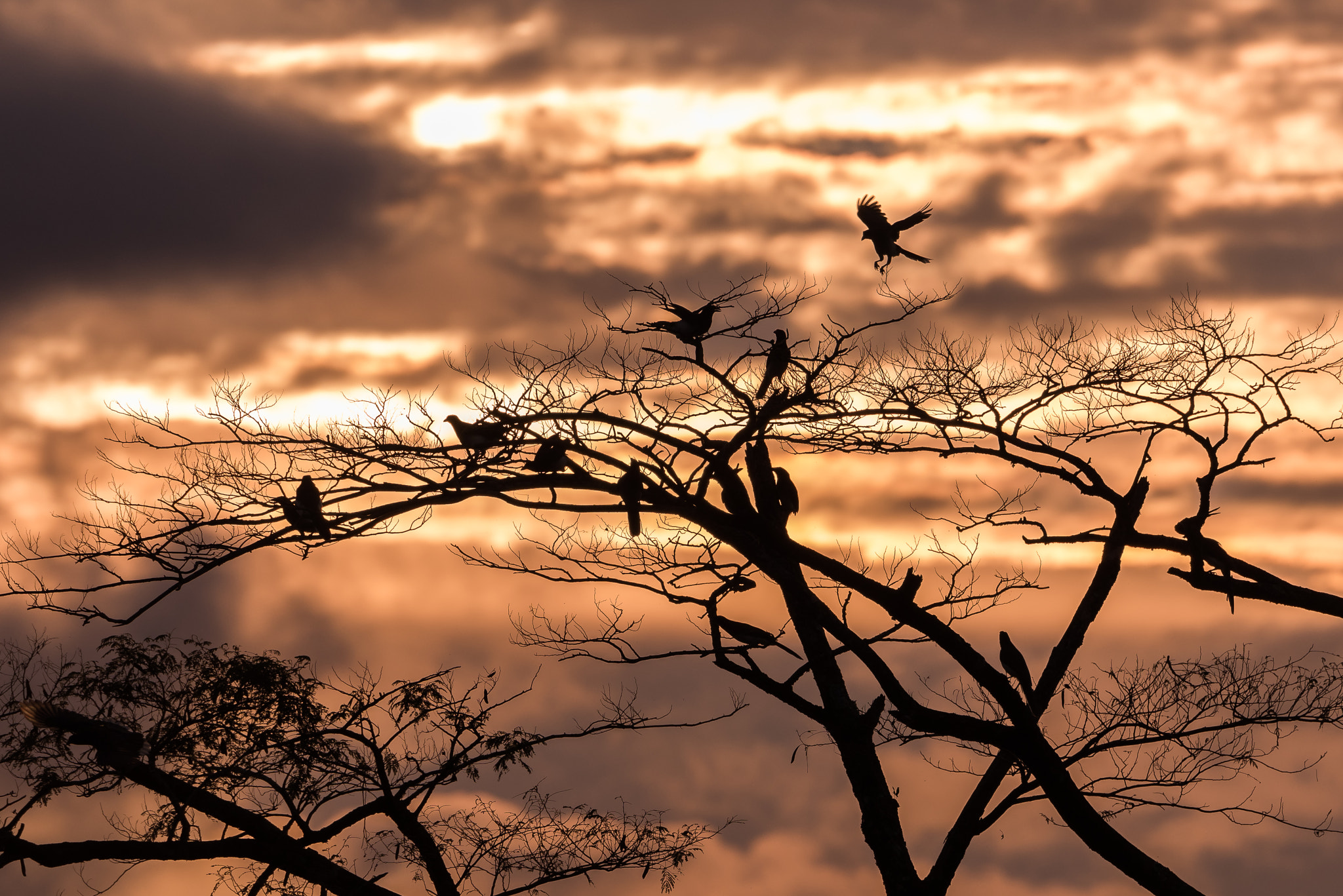 Nikon D810 sample photo. Abend am arenal photography