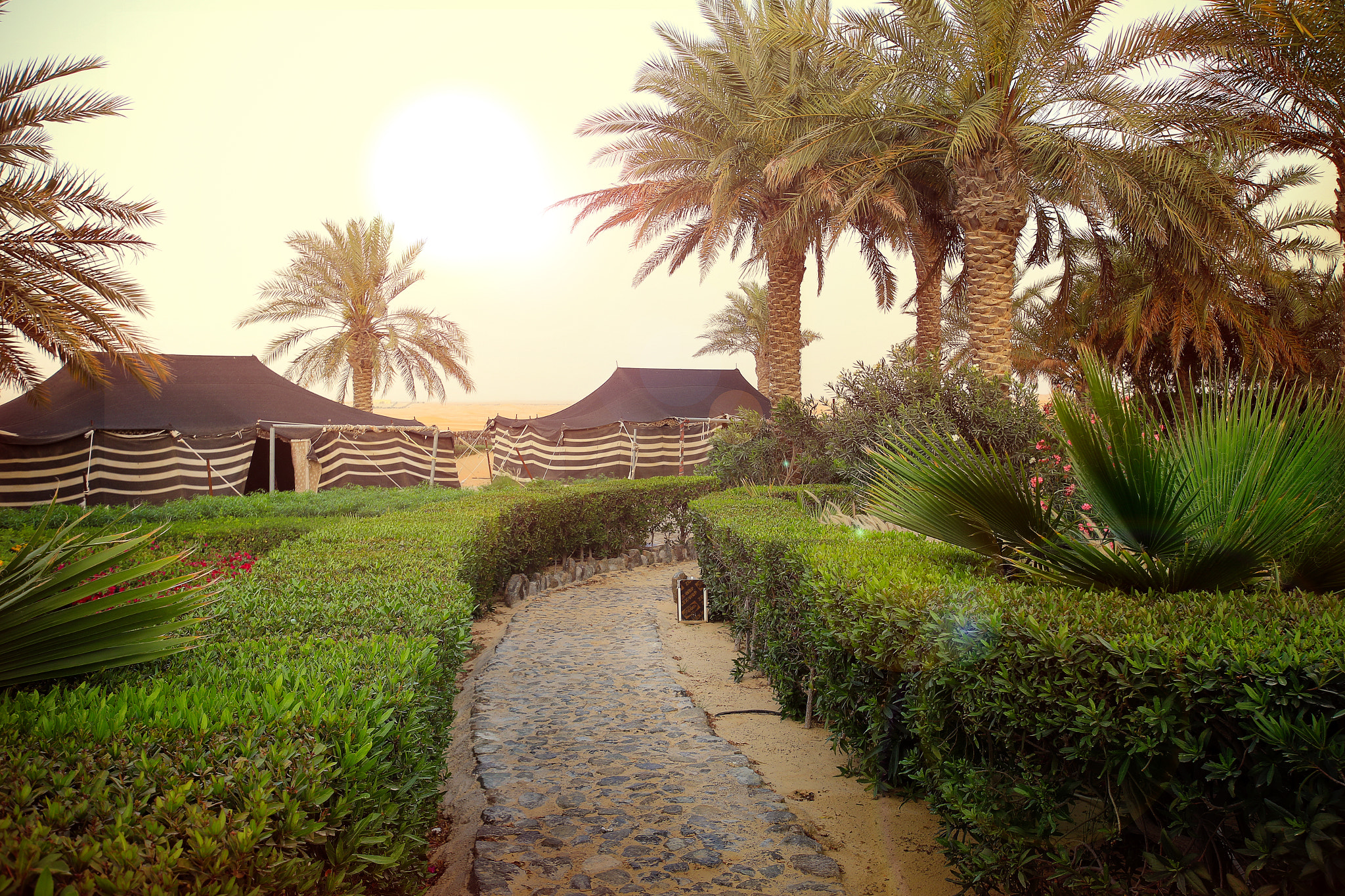 Sigma 10-20mm F3.5 EX DC HSM sample photo. Desert camp photography