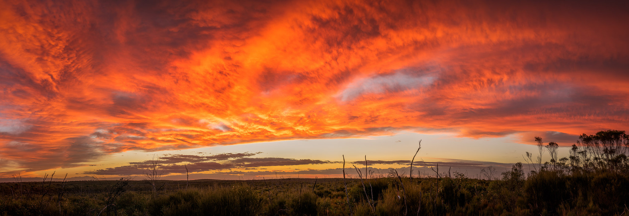 Nikon D5300 + Sigma 35mm F1.4 DG HSM Art sample photo. Red kamarooka sunset photography