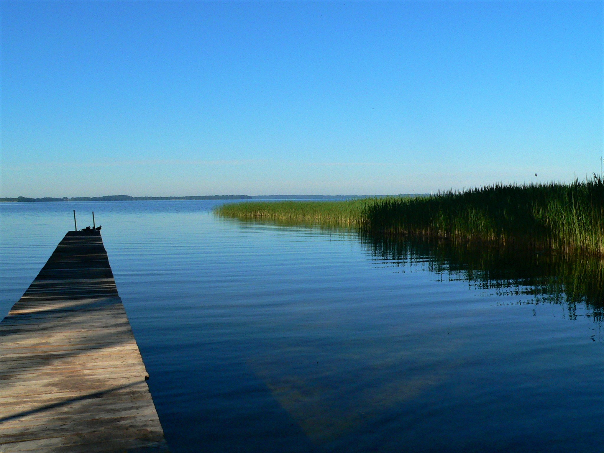 Panasonic DMC-FZ20 sample photo. Masuria, poland photography