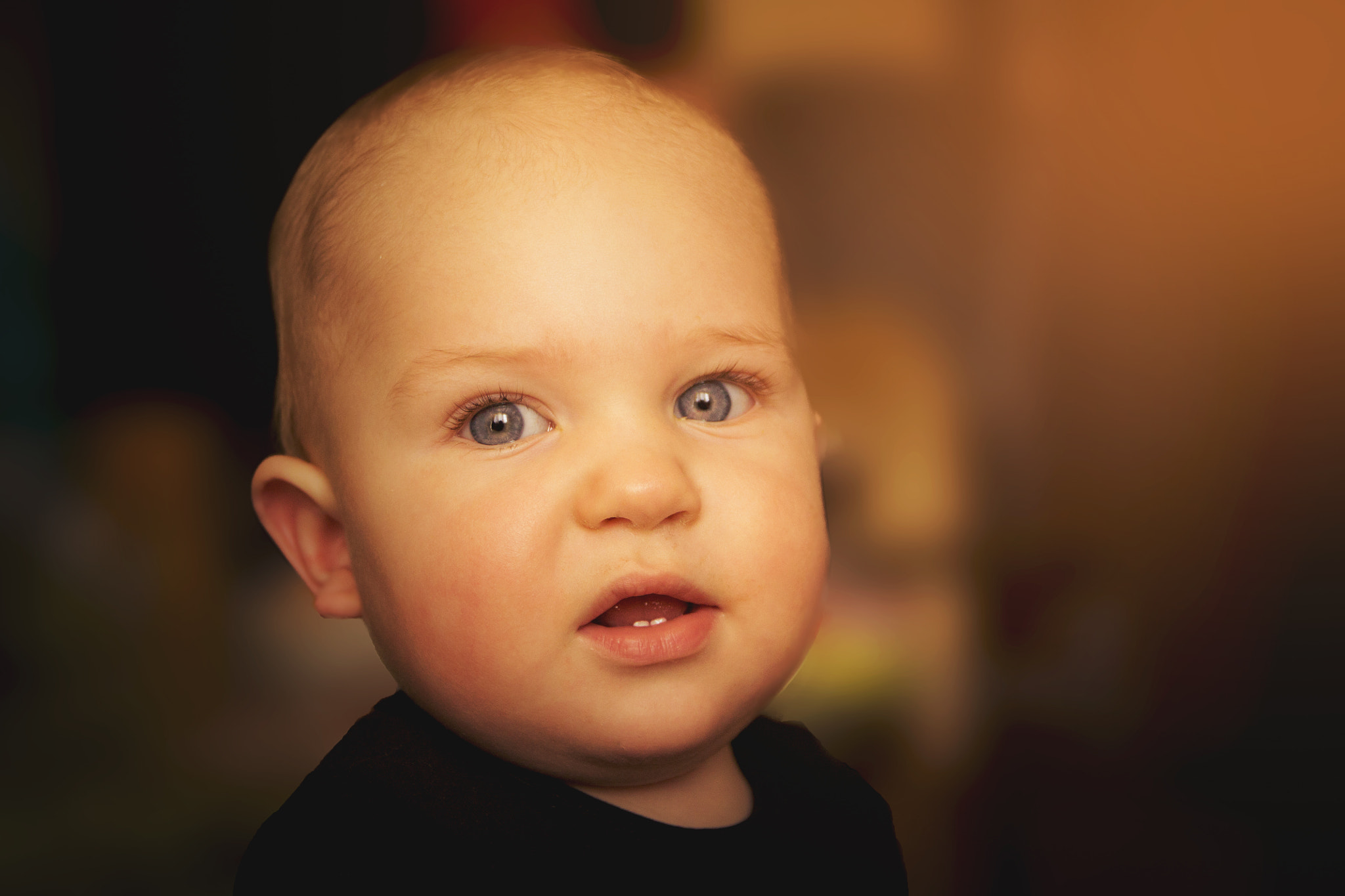 Sigma 17-70mm F2.8-4 DC Macro OS HSM sample photo. Martinek photography
