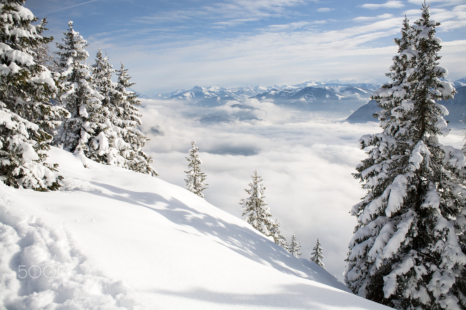 Canon EOS 5D sample photo. Winter forest in alps near kufstein in austria, europe. photography