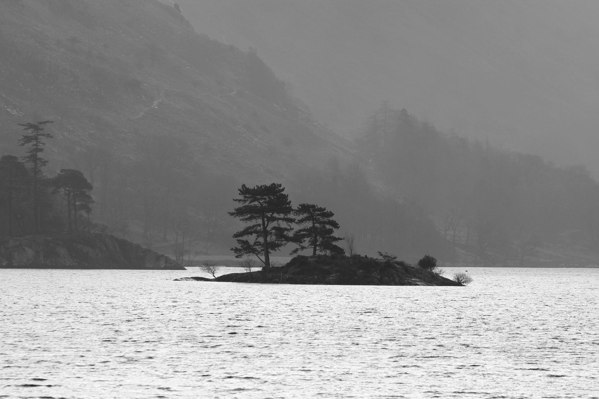 Canon EF 70-300 F4-5.6 IS II USM sample photo. Img photography