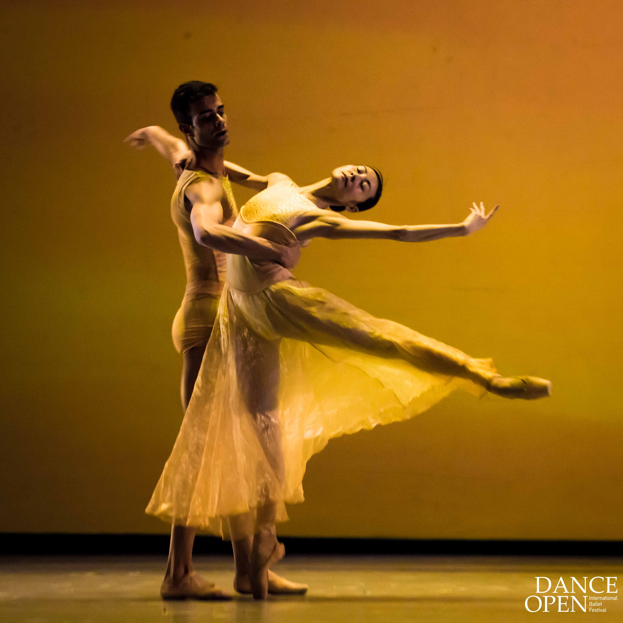 Nikon D600 sample photo. Symphonic dances photography