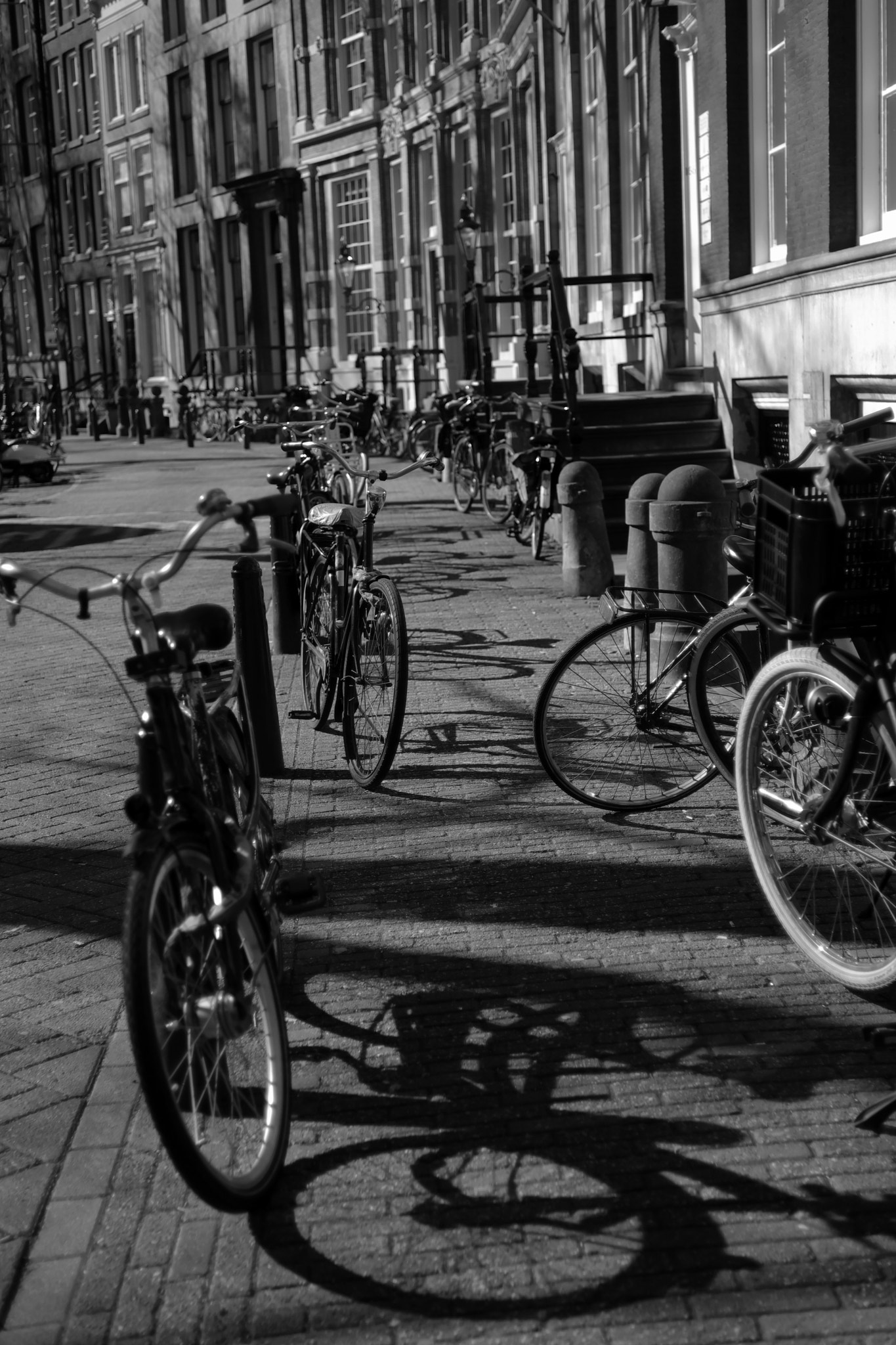 ZEISS Touit 32mm F1.8 sample photo. Along a street in amsterdam photography
