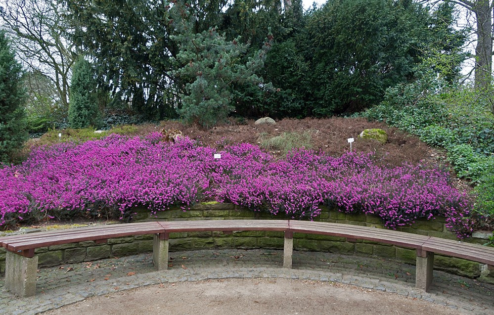 Olympus OM-D E-M5 sample photo. Botanischer garten der tu braunschweig photography