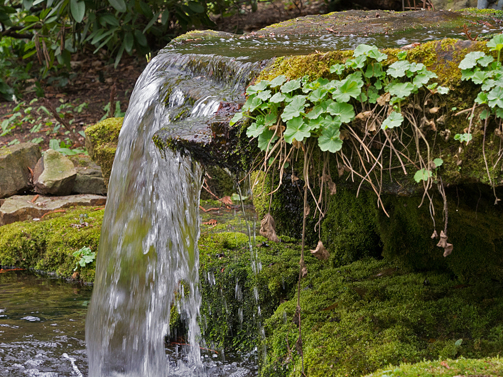 Olympus OM-D E-M5 sample photo. Botanischer garten der tu braunschweig photography
